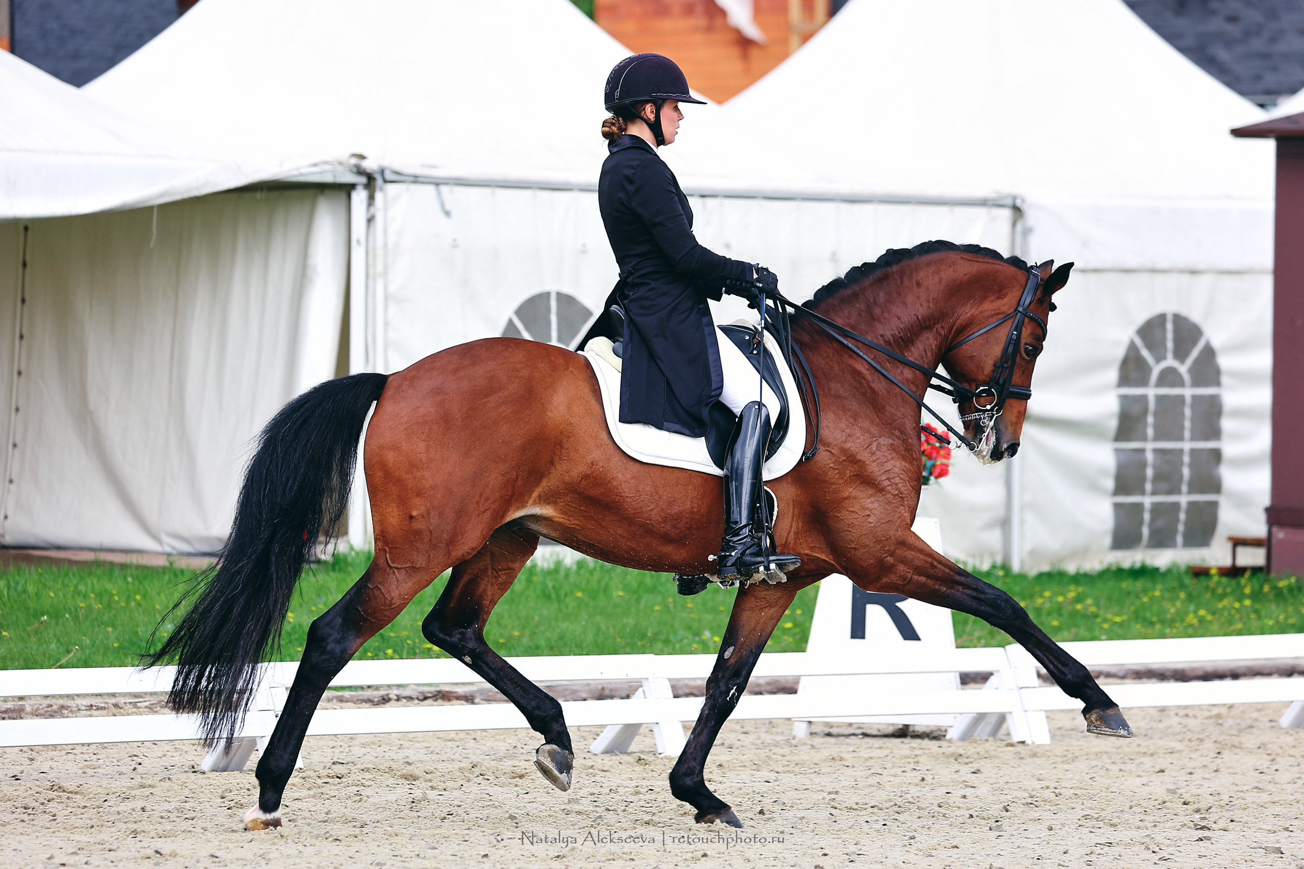 Чемпионат Москвы по выездке, КСК Новый Век | 05'2022. Репортажный фотограф и ретушер в Москве Наталья Алексеева