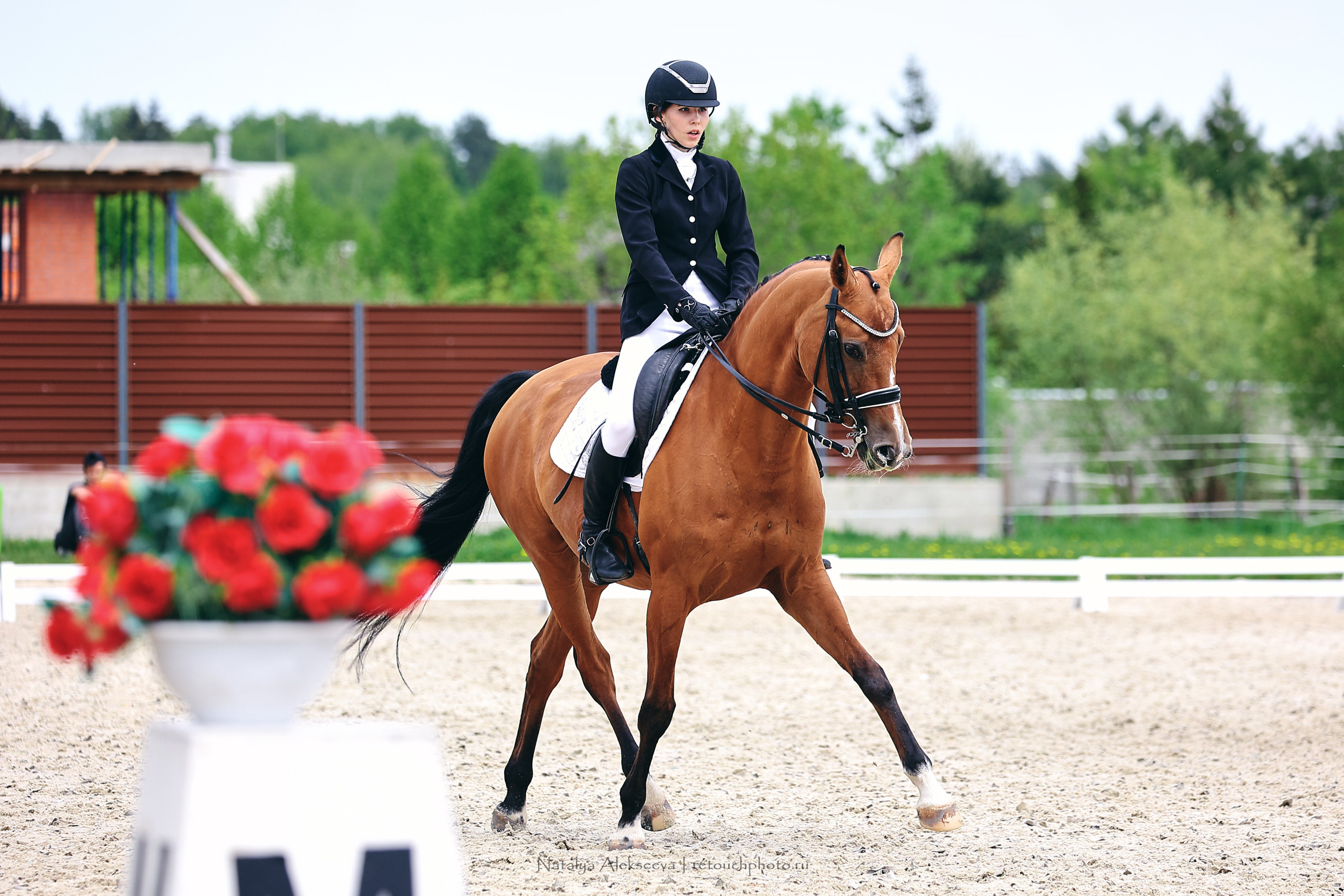 Чемпионат Москвы по выездке, КСК Новый Век | 05'2022. Репортажный фотограф и ретушер в Москве Наталья Алексеева