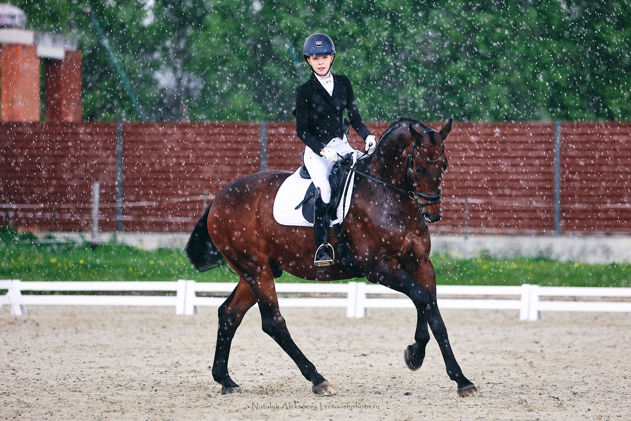 Чемпионат Москвы по выездке, КСК Новый Век | 05'2022. Репортажный фотограф и ретушер в Москве Наталья Алексеева
