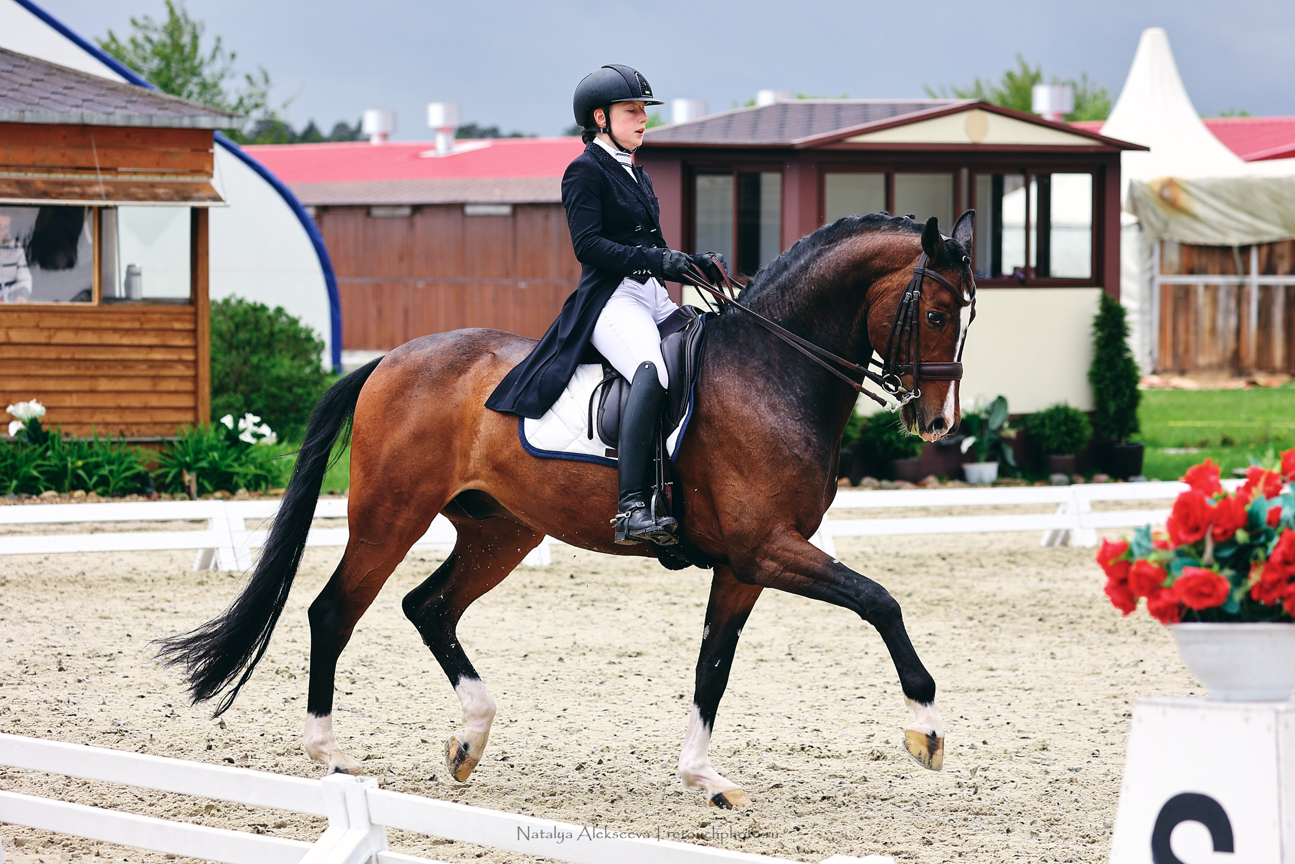 Чемпионат Москвы по выездке, КСК Новый Век | 05'2022. Репортажный фотограф и ретушер в Москве Наталья Алексеева
