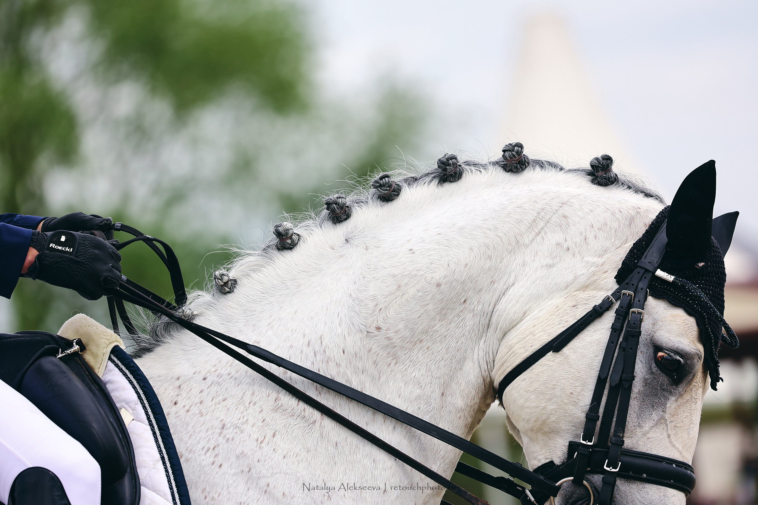 Чемпионат Москвы по выездке, КСК Новый Век | 05'2022. Репортажный фотограф и ретушер в Москве Наталья Алексеева