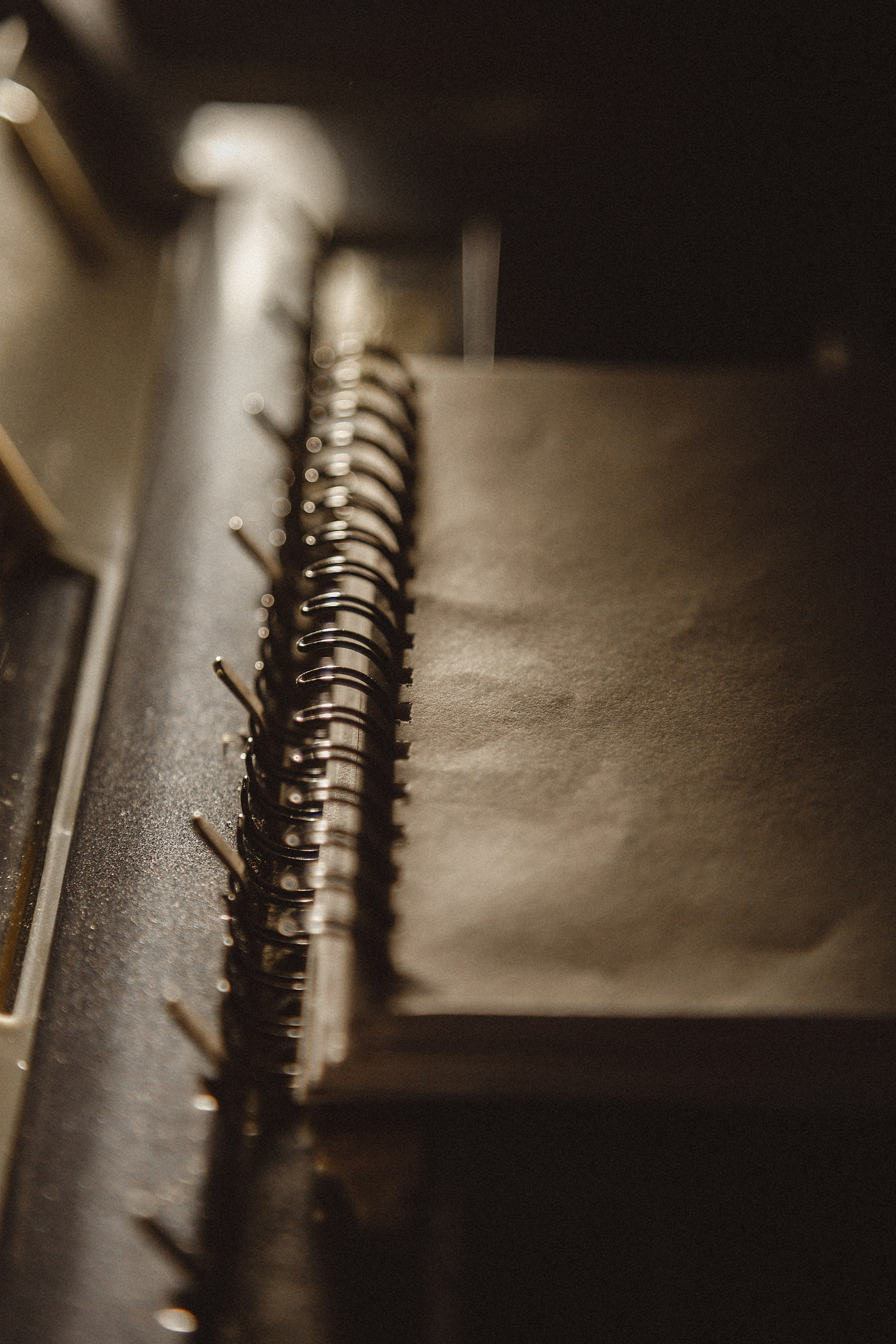 Проект «366»|2024|Фото каждый день. LENA GRACE photographer ||ЛЕНА ГРЭЙС фотограф