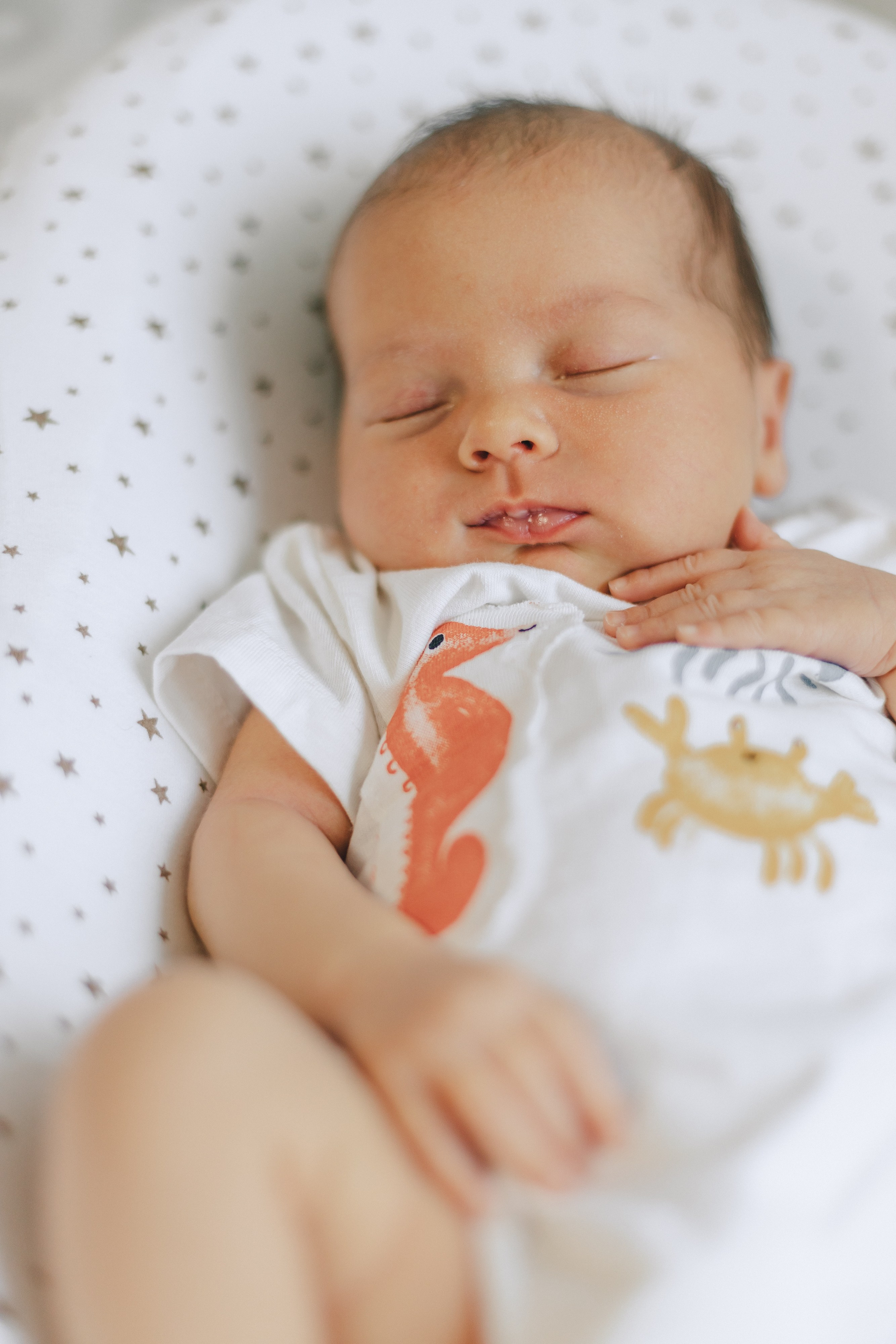 Ира, Леша, Максим и Майя. Фотограф Таганрог Любимая Надя