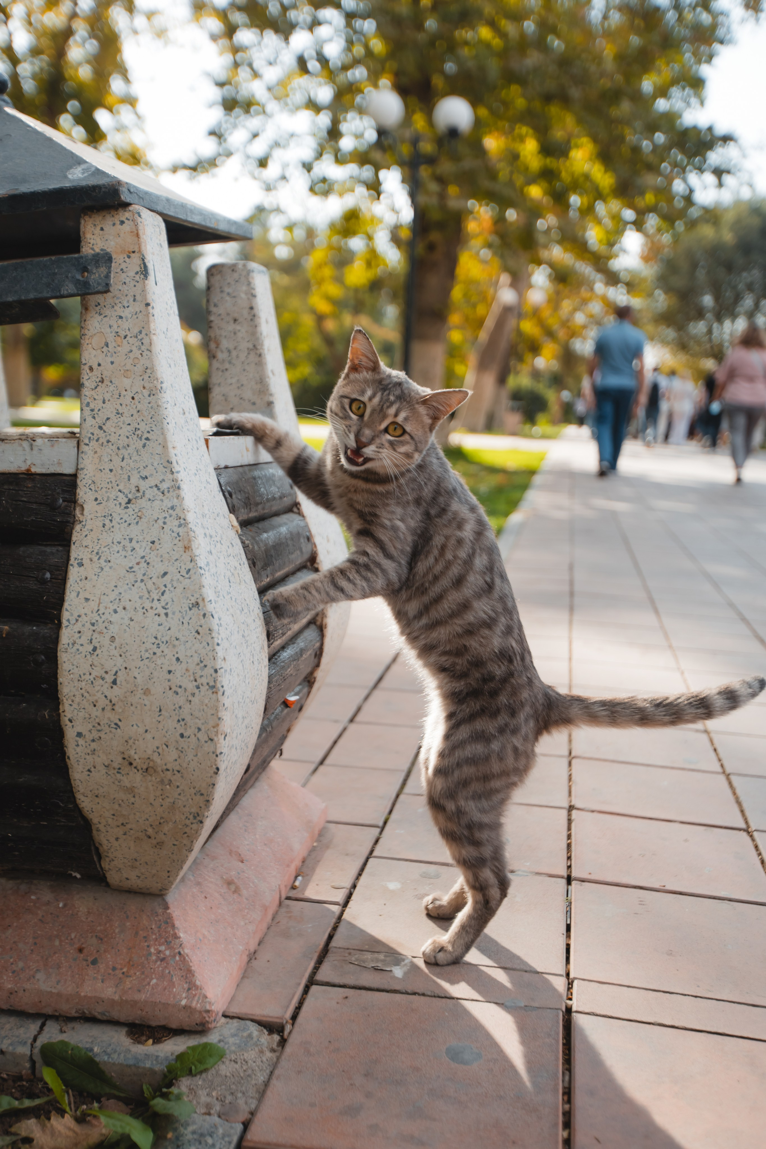 Uzbekistan, Samarkand. Репортажный фотограф Андрей Герасимов
