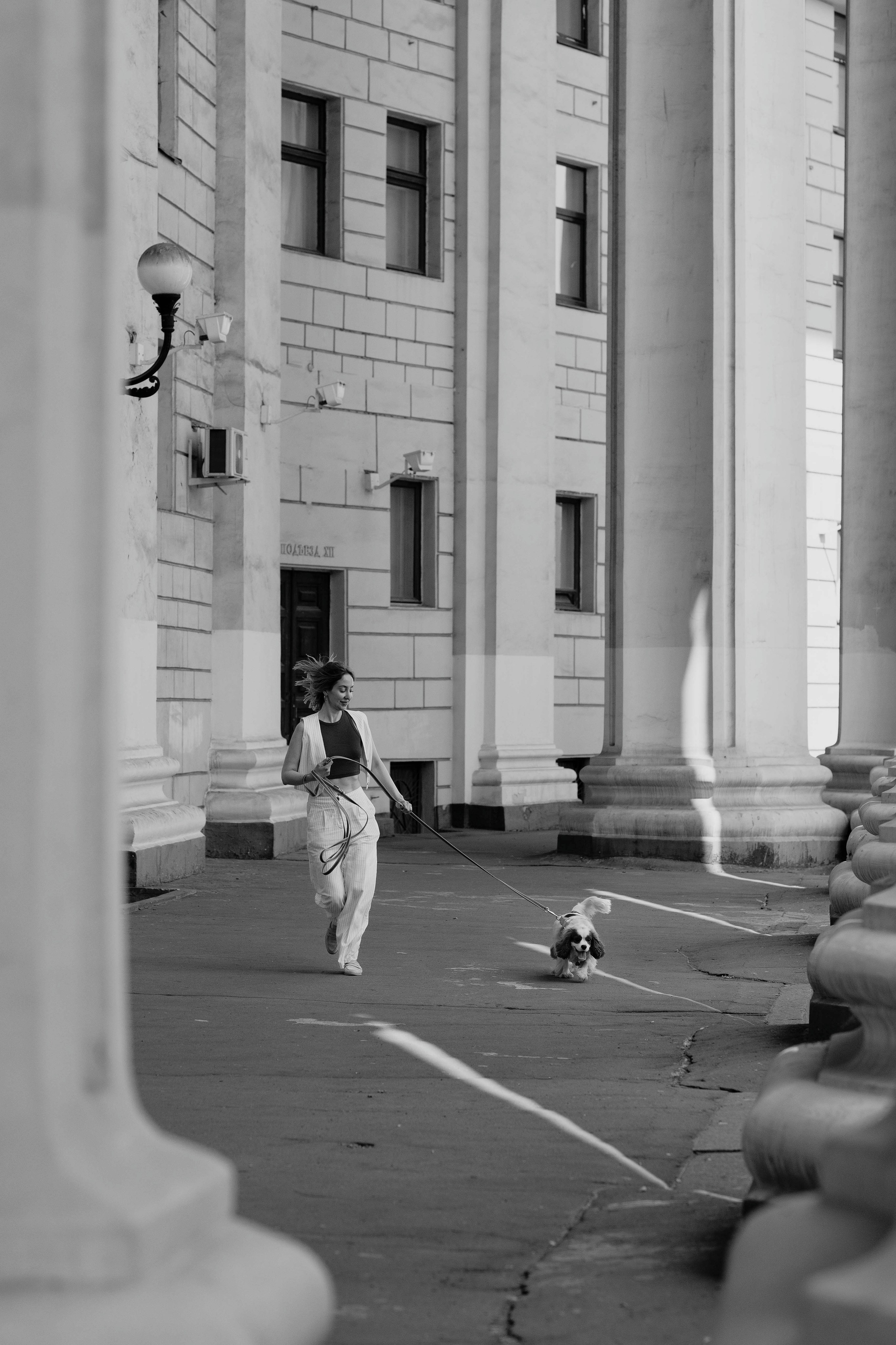 Джей. Фотограф- анималист Александра Матвеева