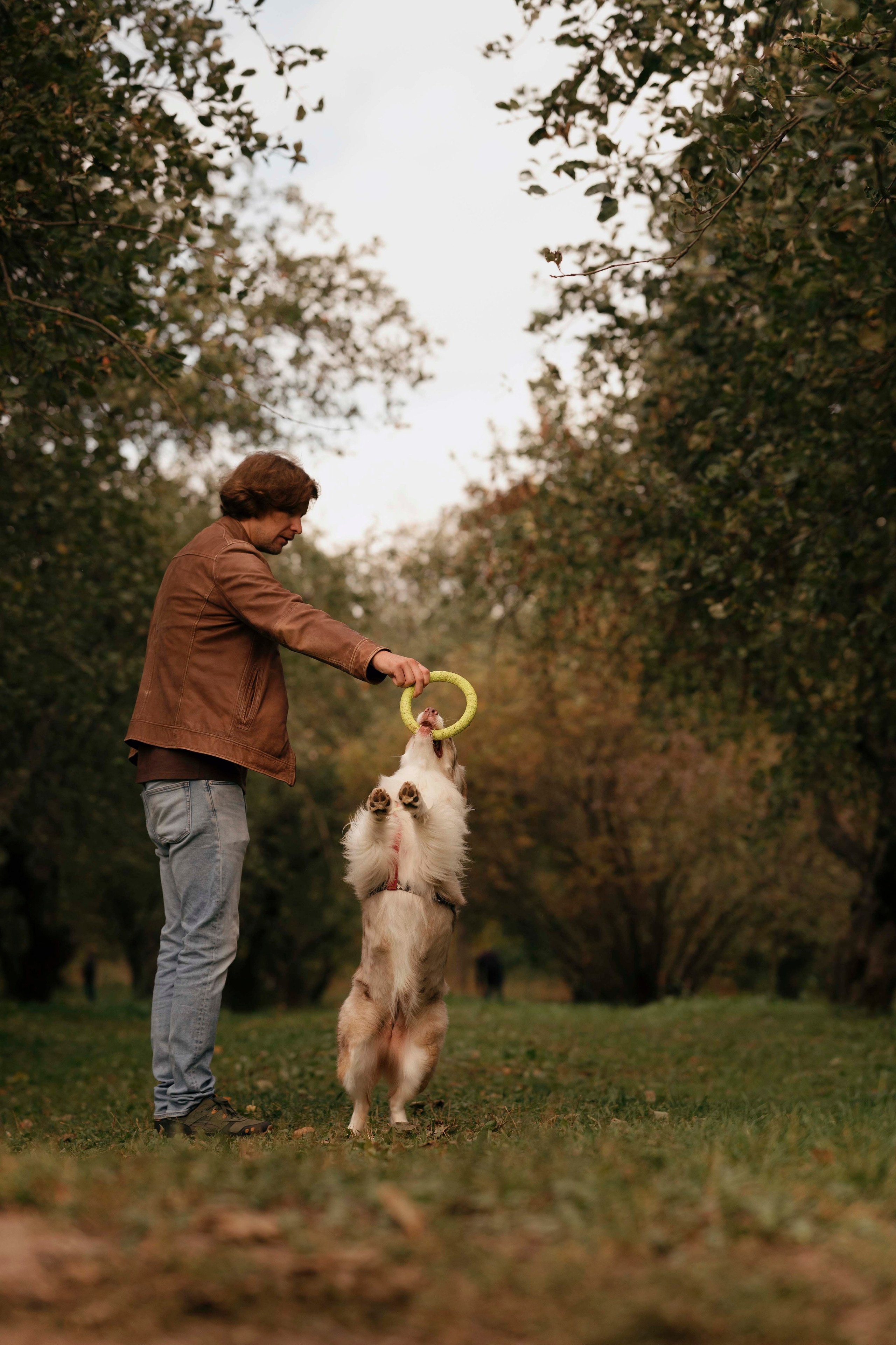 Дженни. Фотограф- анималист Александра Матвеева