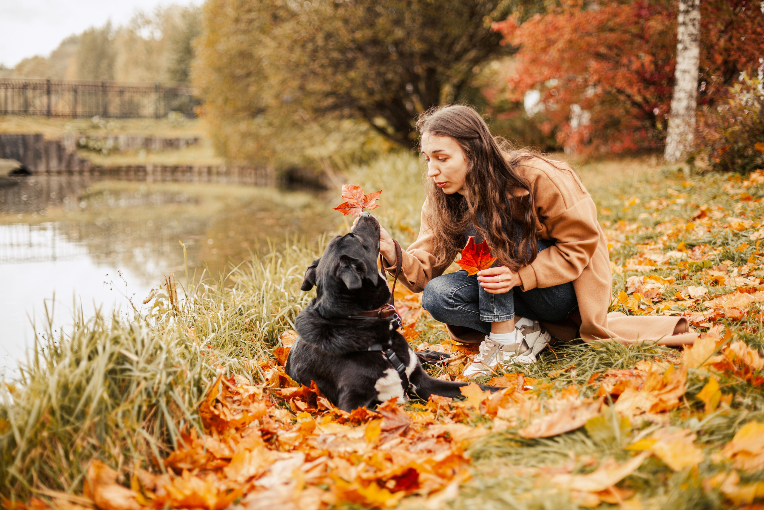 Юля и Фортуна. Фотограф-анималист Татьяна Степанова