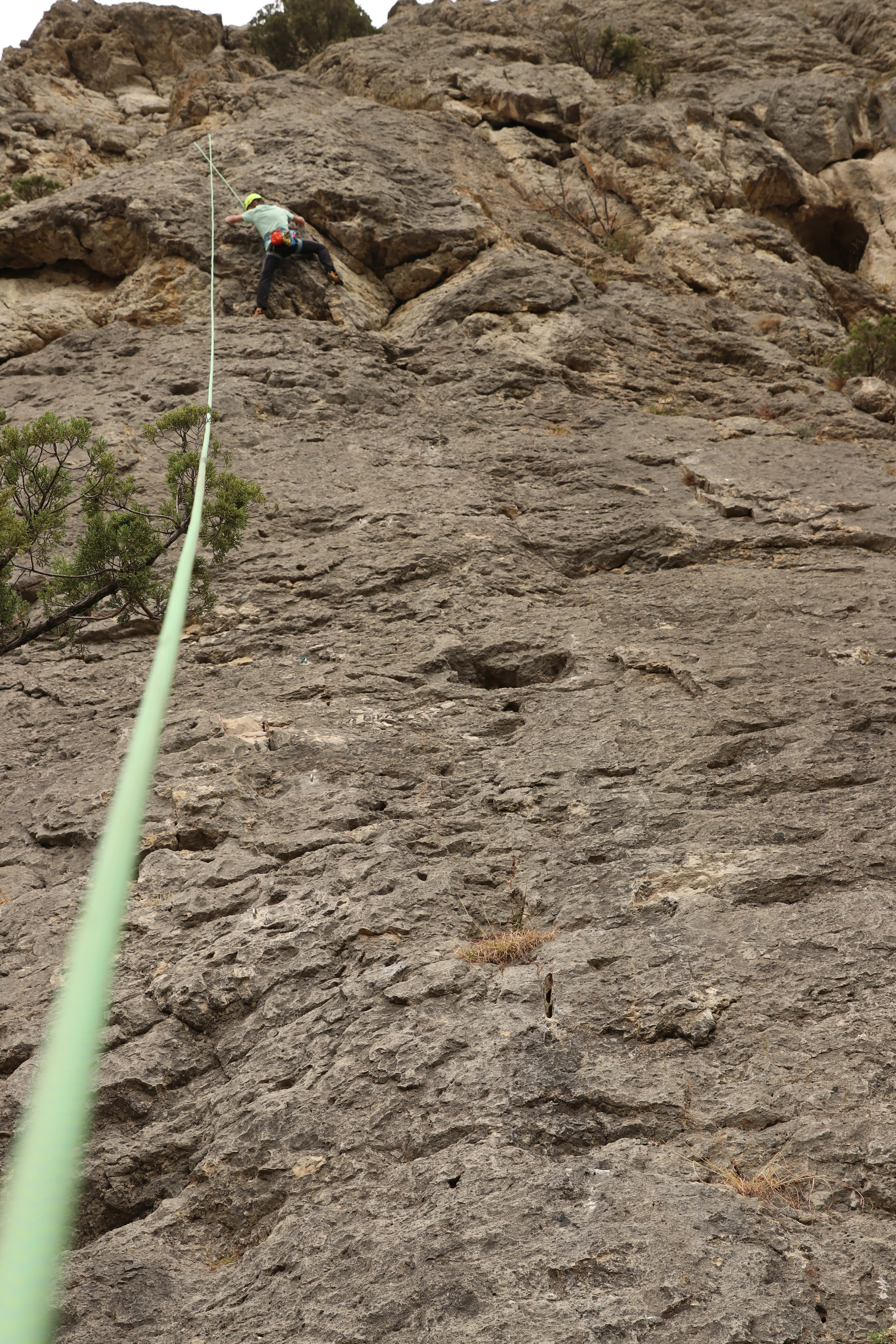 Крым. ЮБК (Гурзуф, Судак и их окрестности). Ноябрь 2023. Путешественник-фотограф из Санкт-Петербурга Татьяна Свистулина