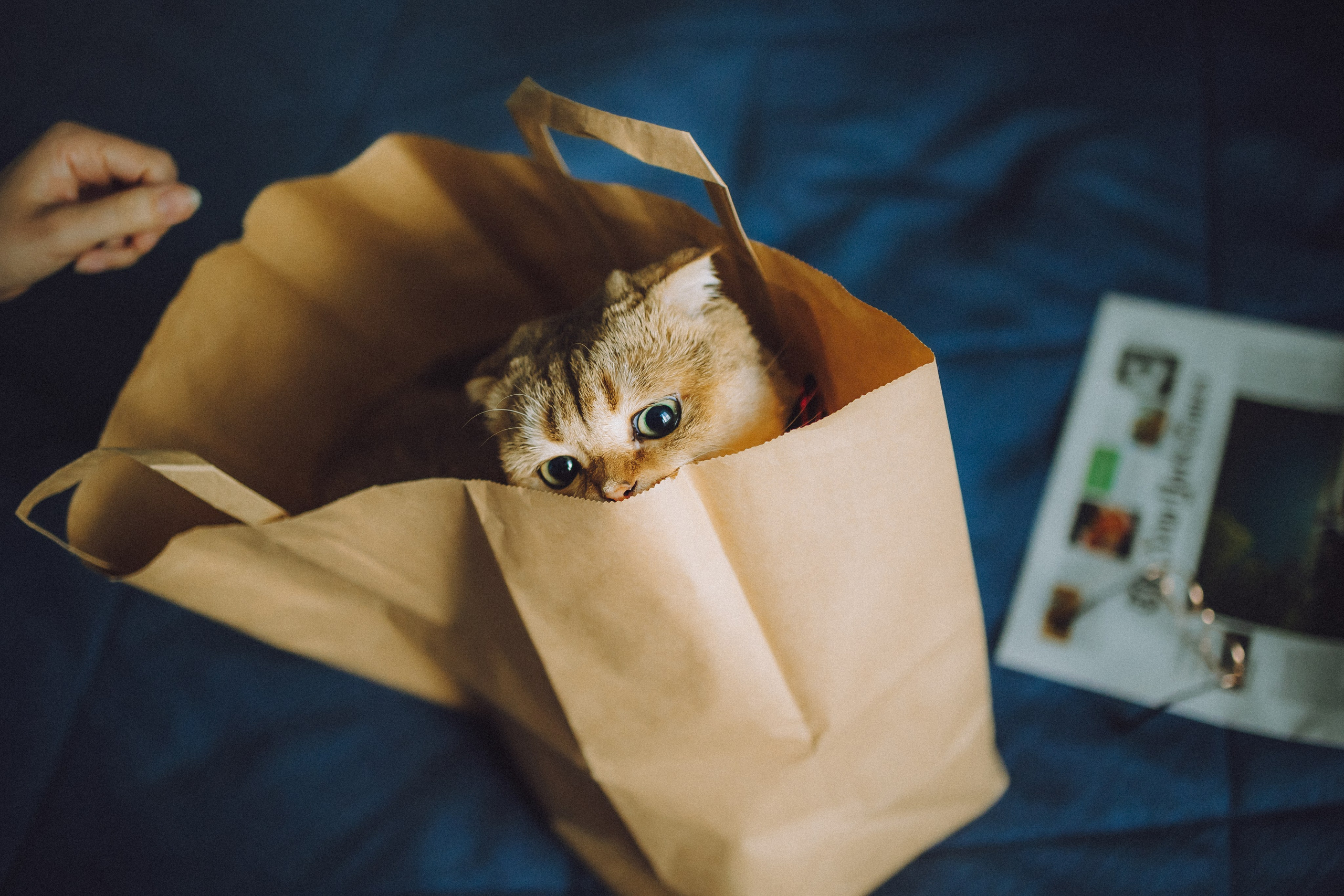 Генри и его семья