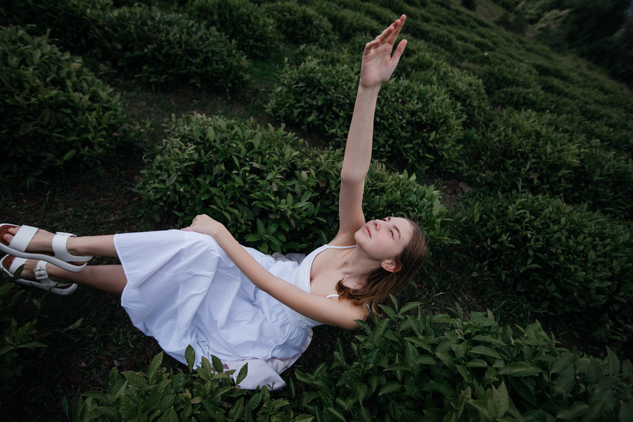 Tea plantation. Efimova Model Agency