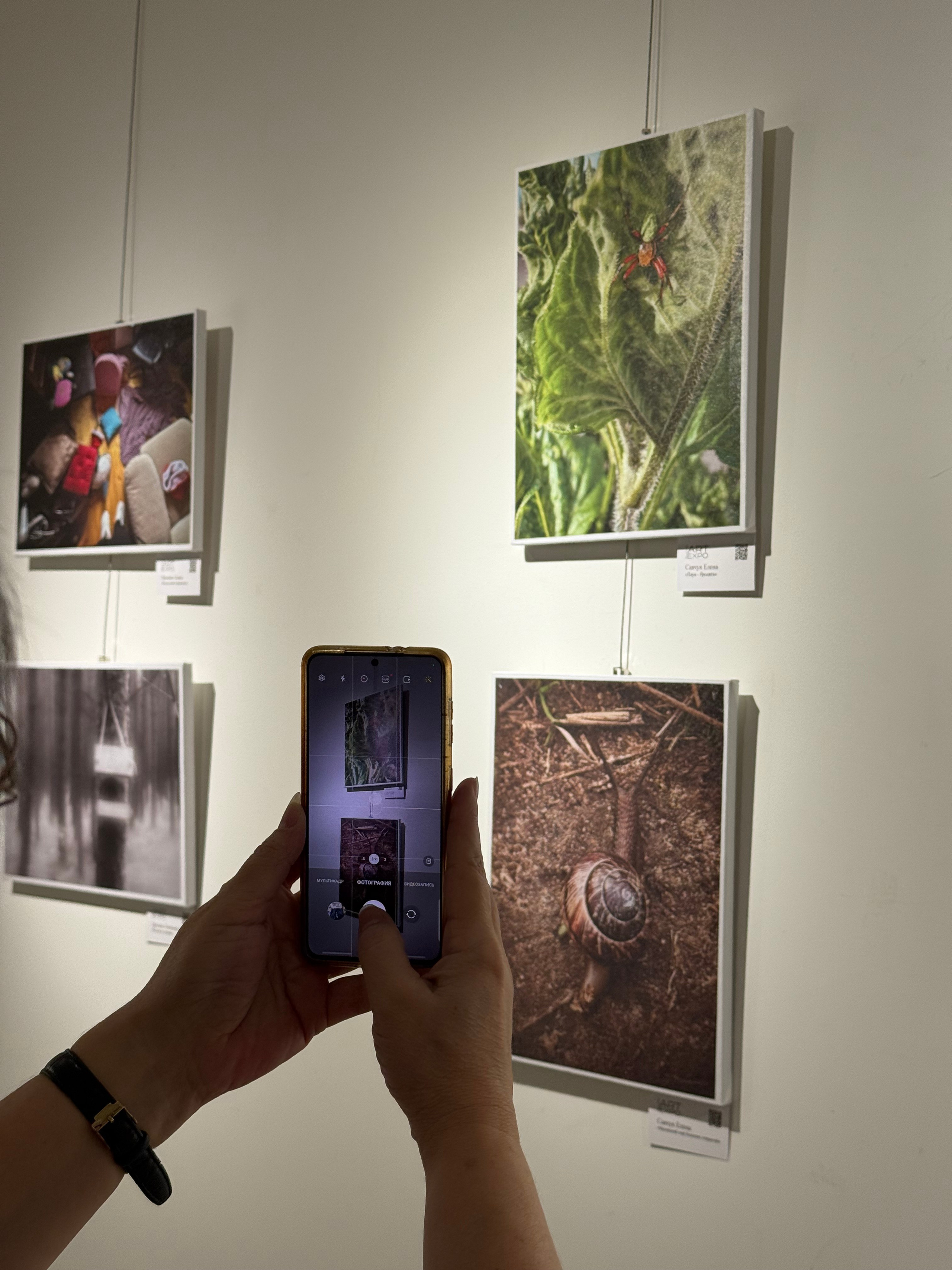 Ростов-на-Дону «Мир в Деталях» и «1000 лиц воды». ARTEXPOPHOTO