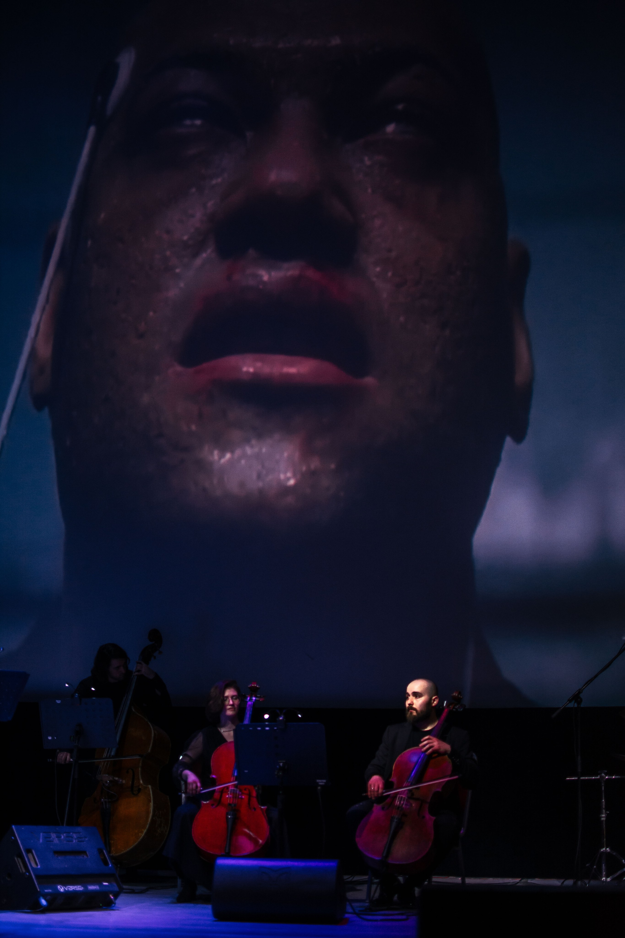 Концерт оркестра Cinematica. Репортажный фотограф в Новосибирске