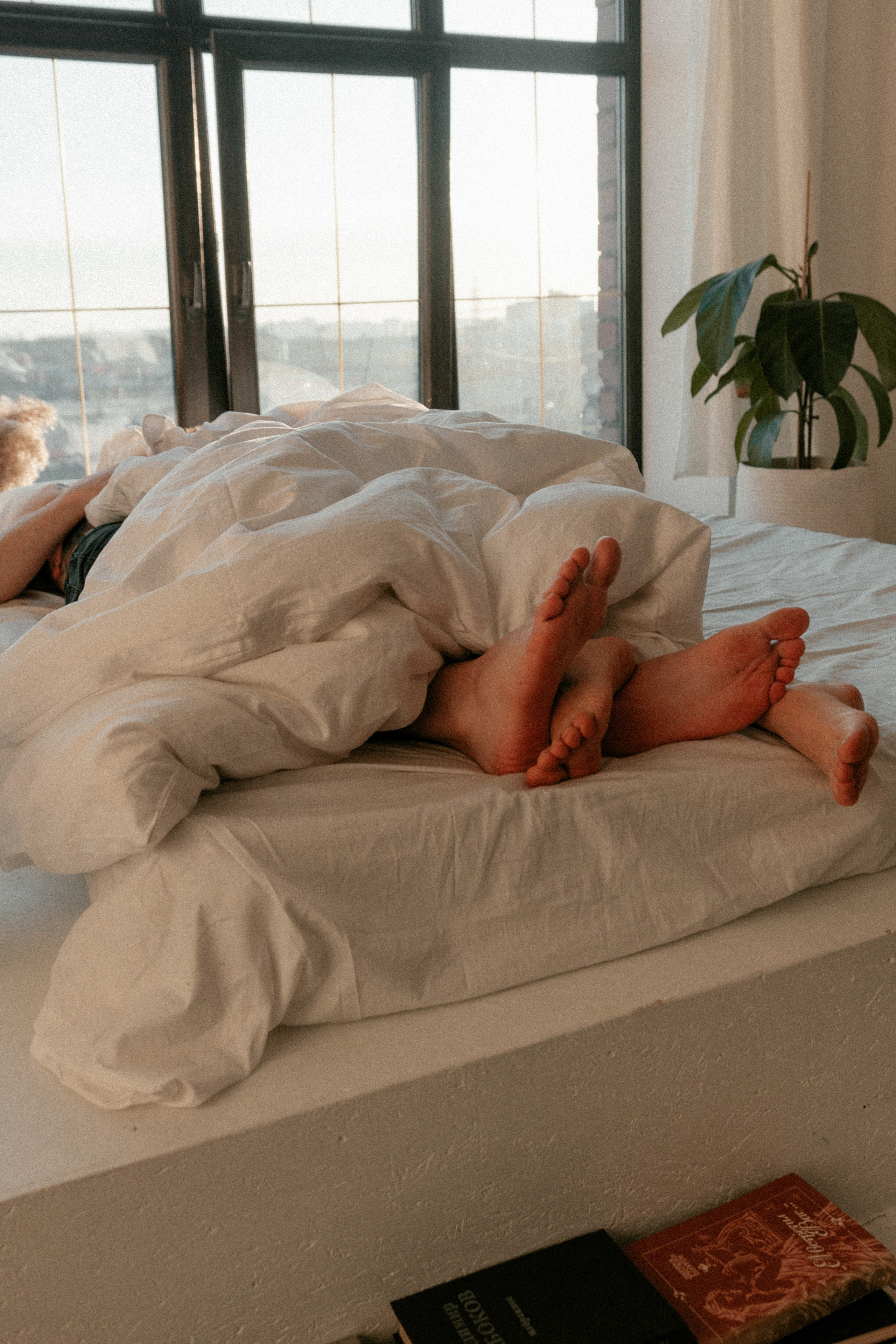 Даша и Степан. Фотограф Екатеринбург Алина Станицкая