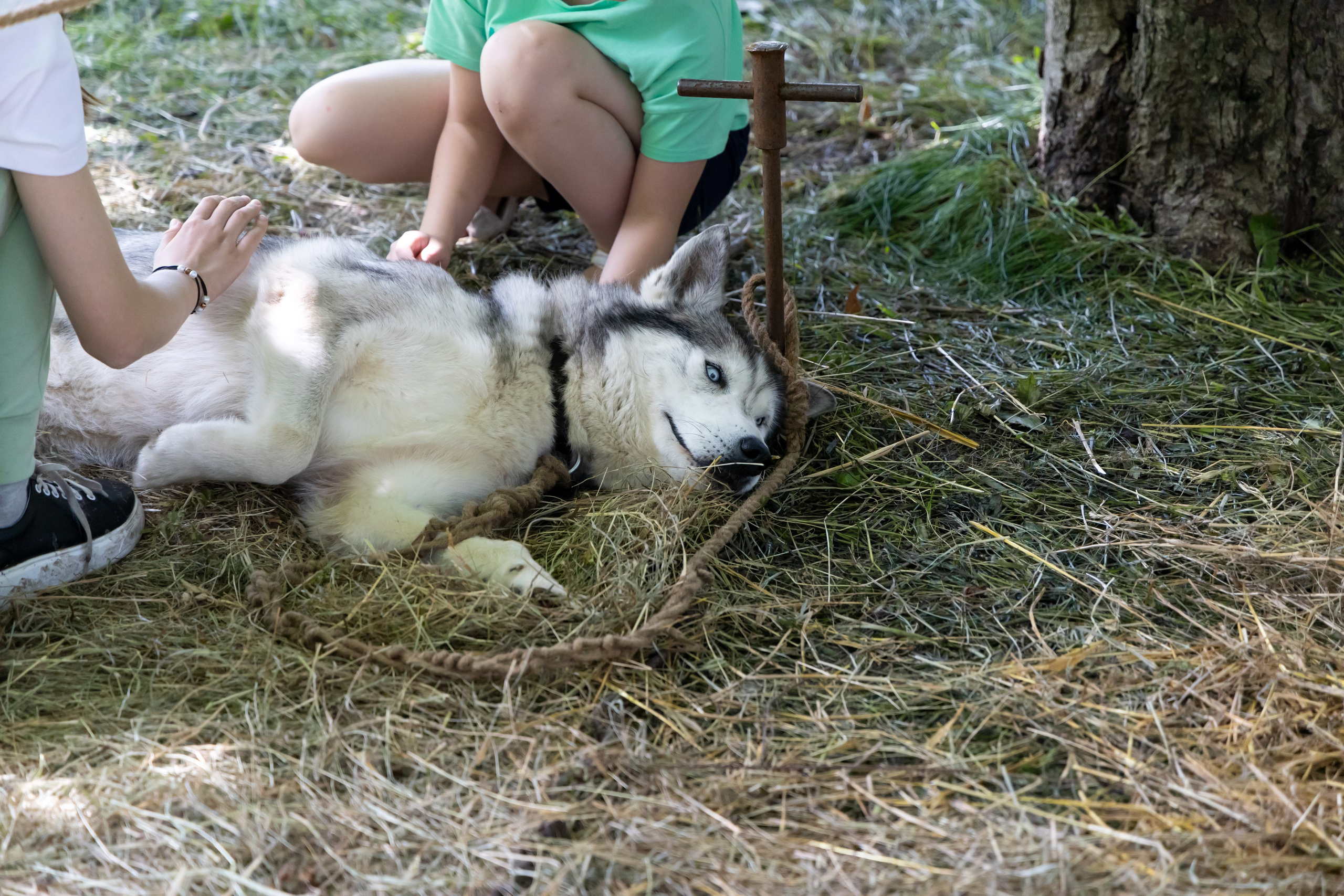 Времена и эпохи 2024. Парк 50-летия Октября. Репортажный, семейный и студийный фотограф в Москве Демин Алексей