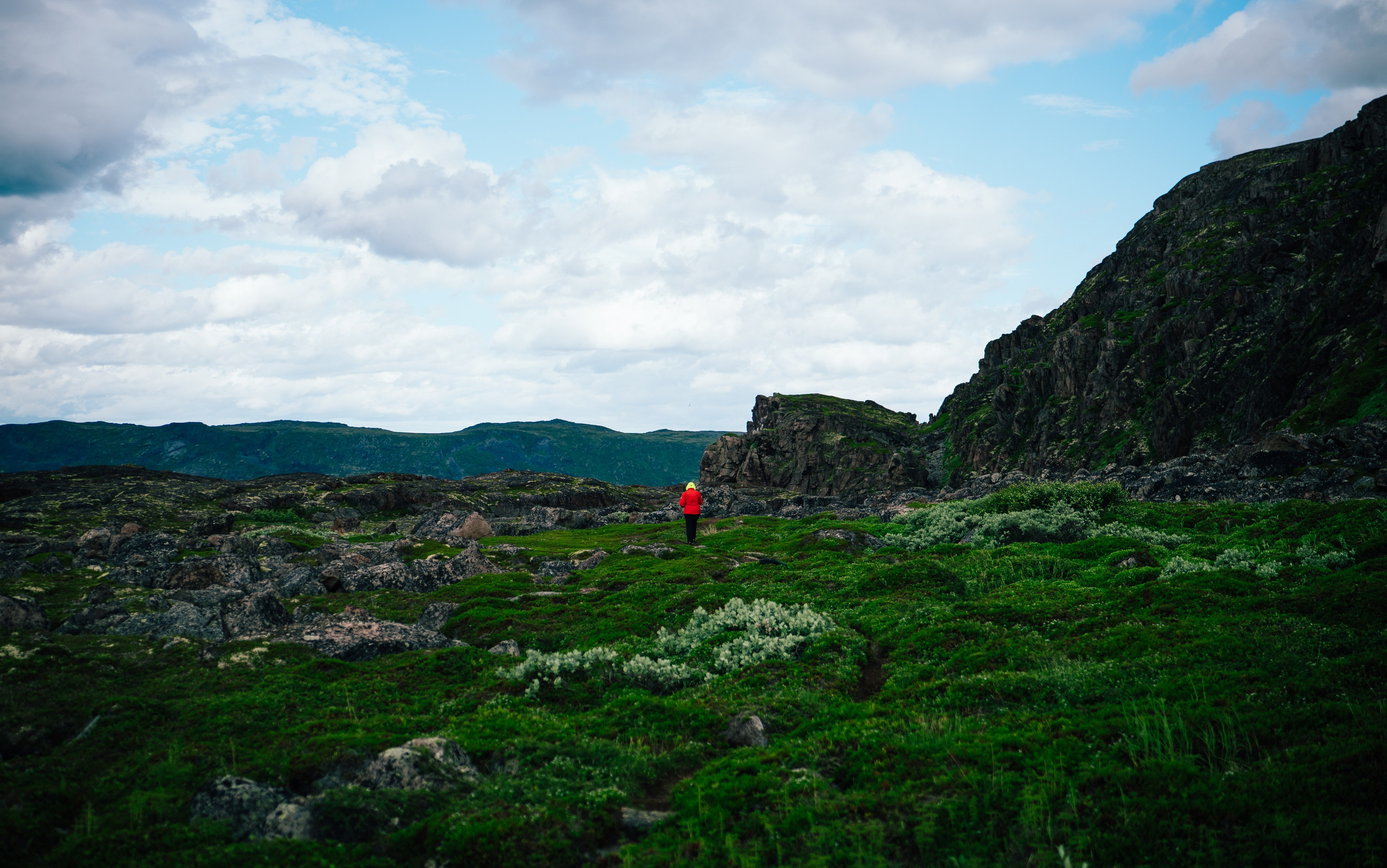 ТЕРИБЕРКА. Создание контента | Фото | Видеосъемка | Александр Ярков