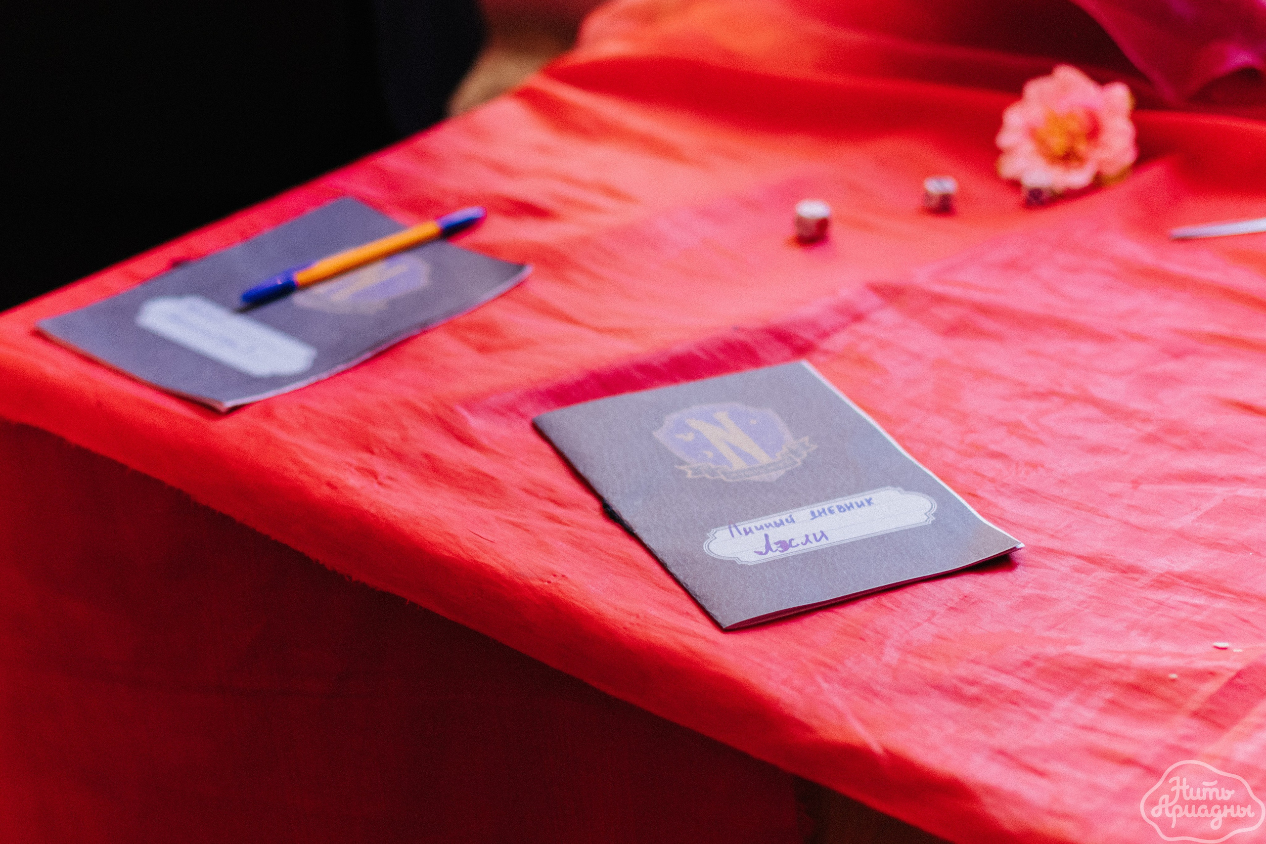 Детские мероприятия (квесты, лагеря, вечеринки). Коммерческий фотограф в Санкт-Петербурге (СПб) Екатерина Панчёха, Панчёшка