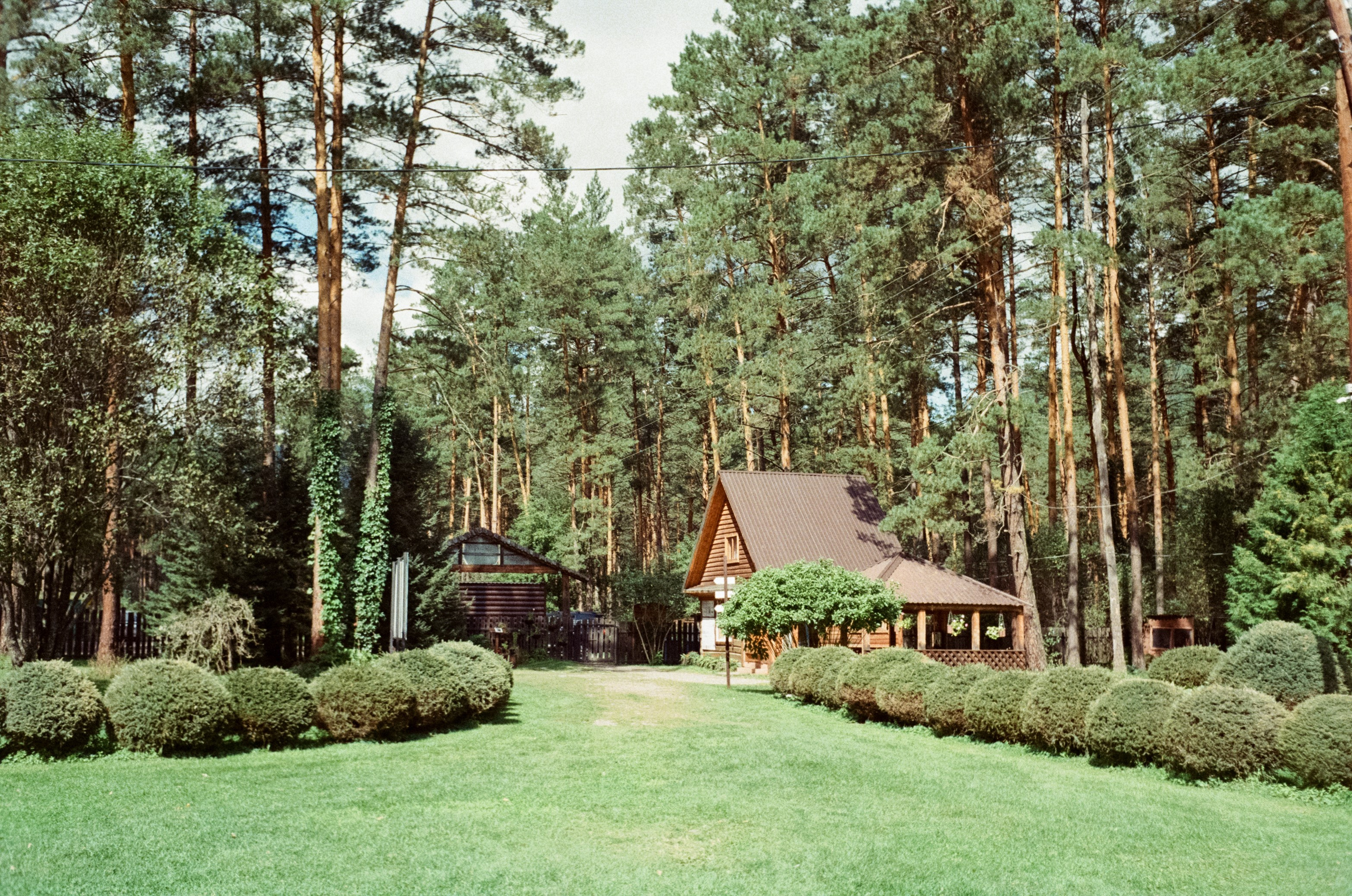 Горно-алтайский ботанический сад, база Кедровый остров / 27 августа 2024 года