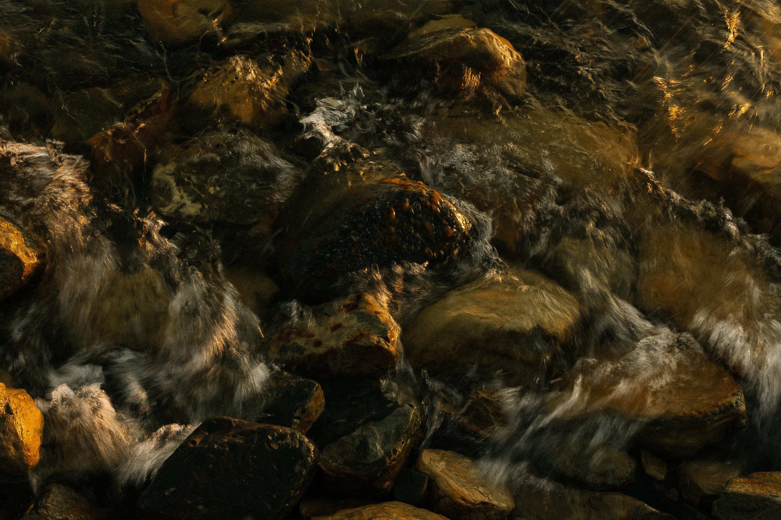 Соленое вино. Свадебный фотограф в Москве Николай Болт