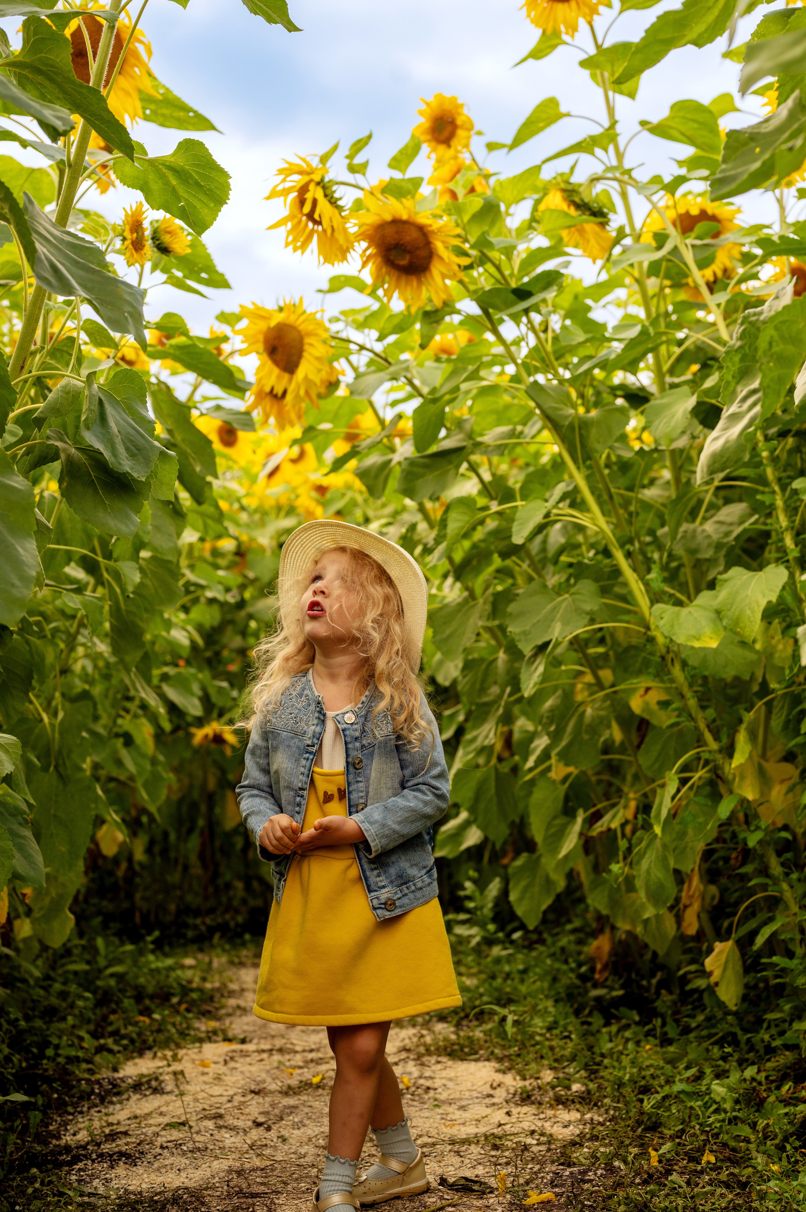 Подсолнухи. Фотограф новорожденных, семейный детский в Тюмени Татьяна Морозова