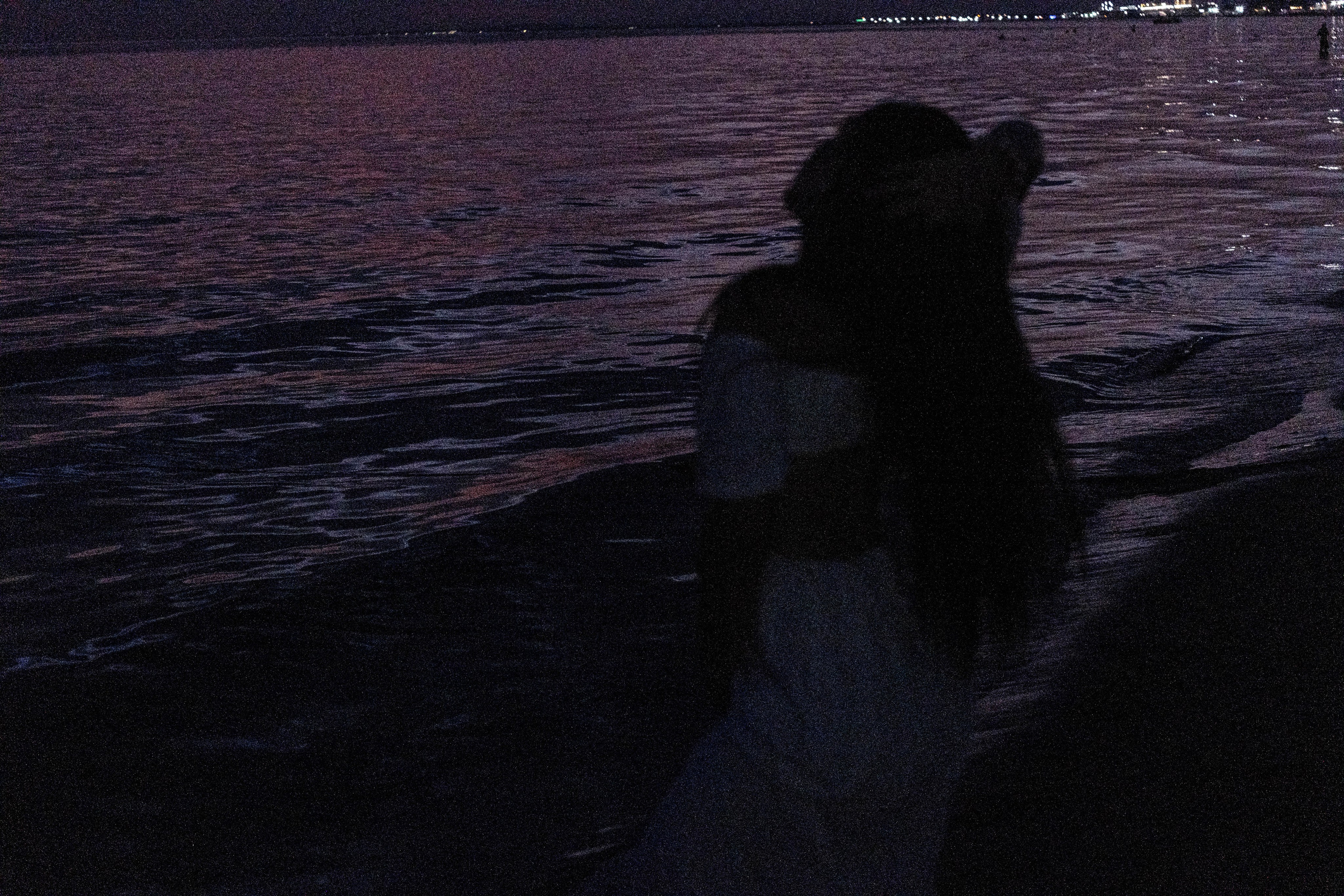 Закат на черном море. Профессиональный фотограф, Санкт-Петербург — Виктория Богомолова