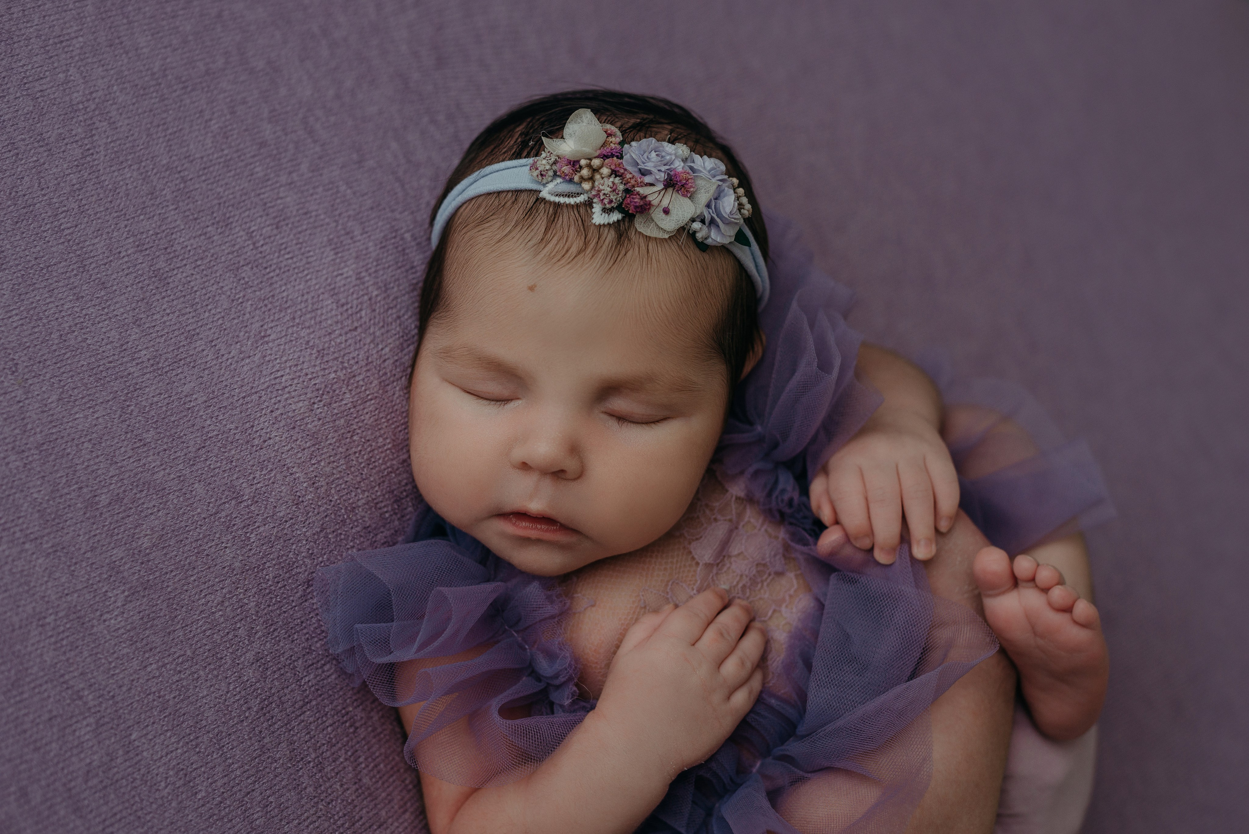 Ева. Фотограф новорожденных Белгород