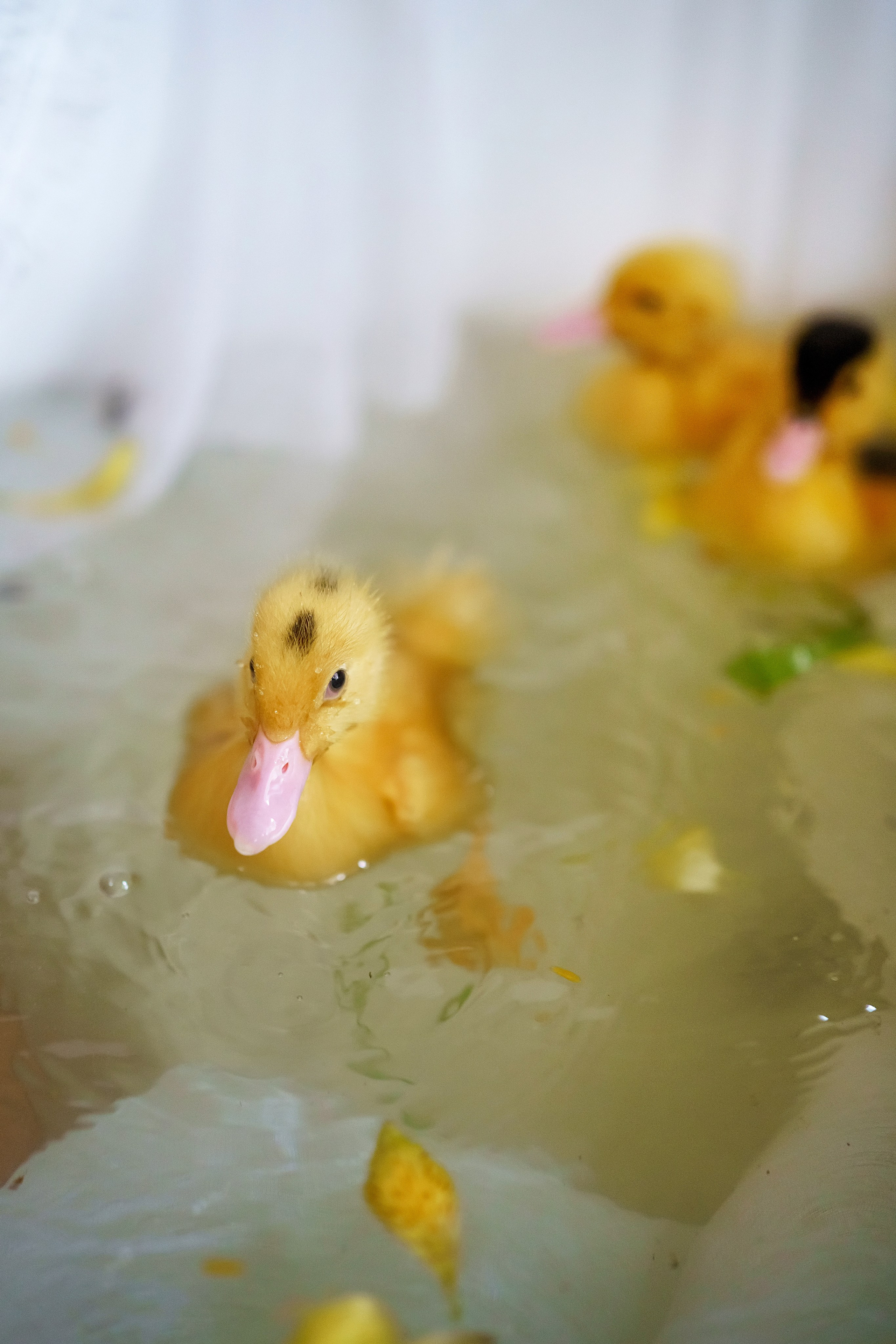 . Фотограф в Москве и Одинцово