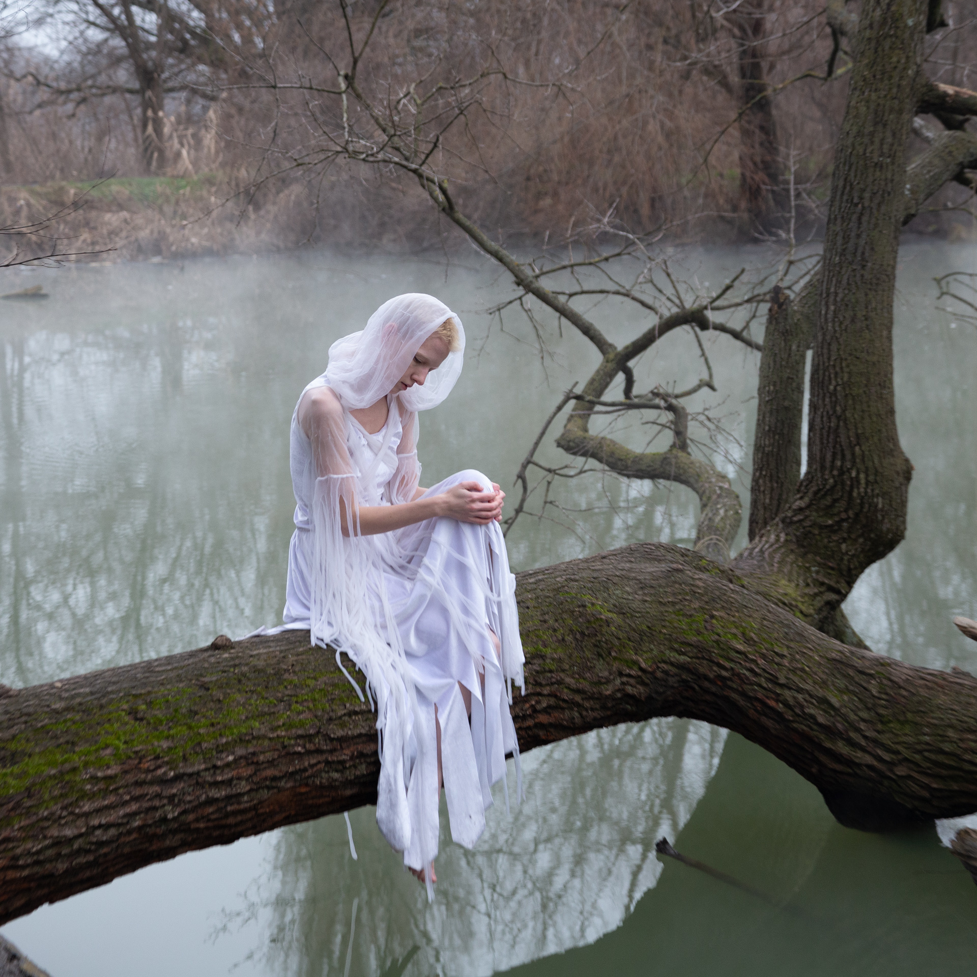 Examples. Photographer Andrew Vasiliev