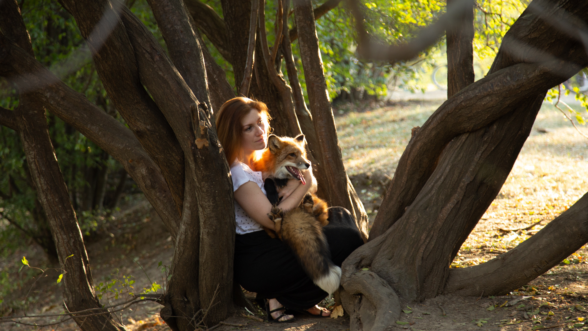 Examples. Photographer Andrew Vasiliev