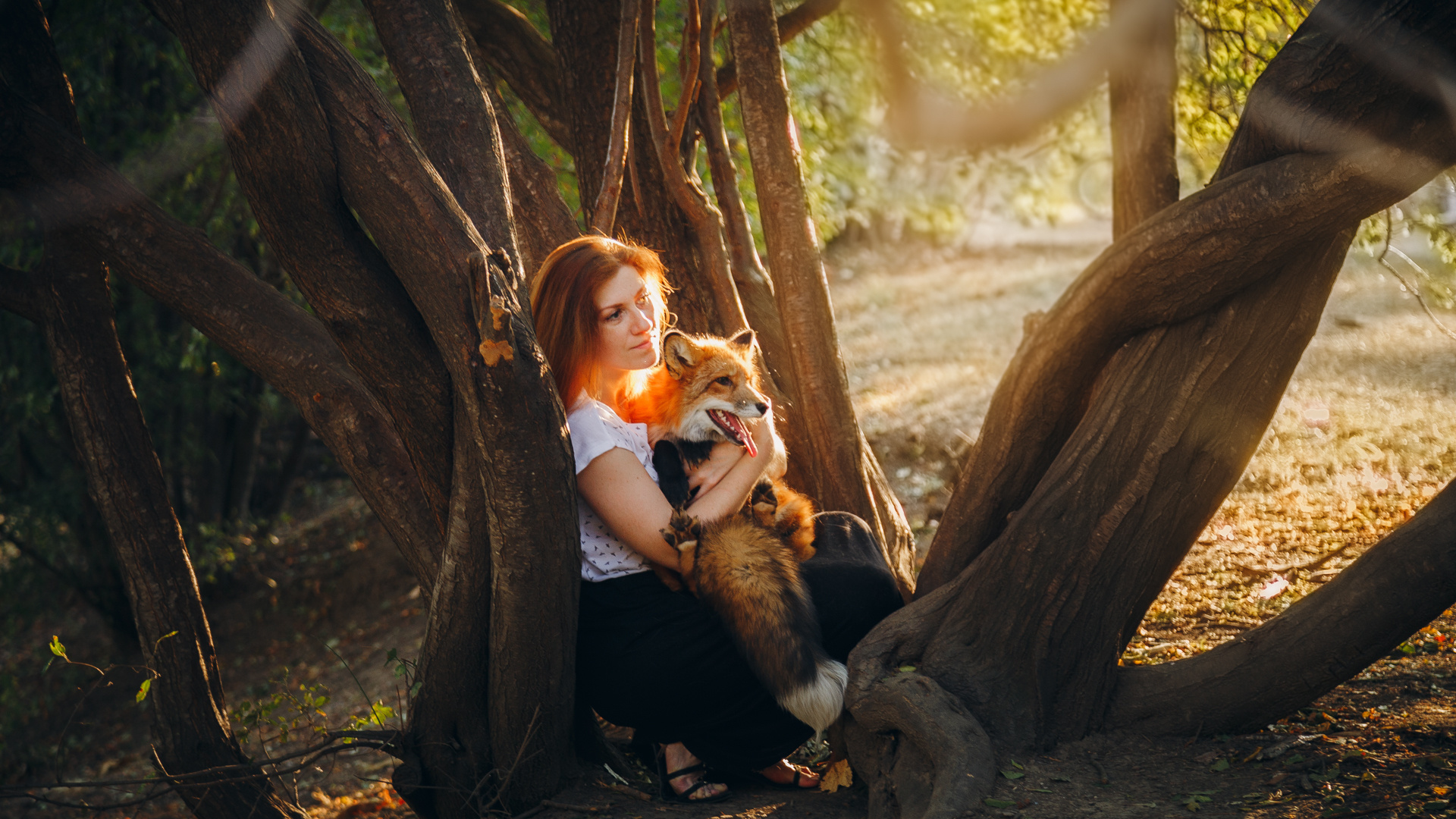 Examples. Photographer Andrew Vasiliev