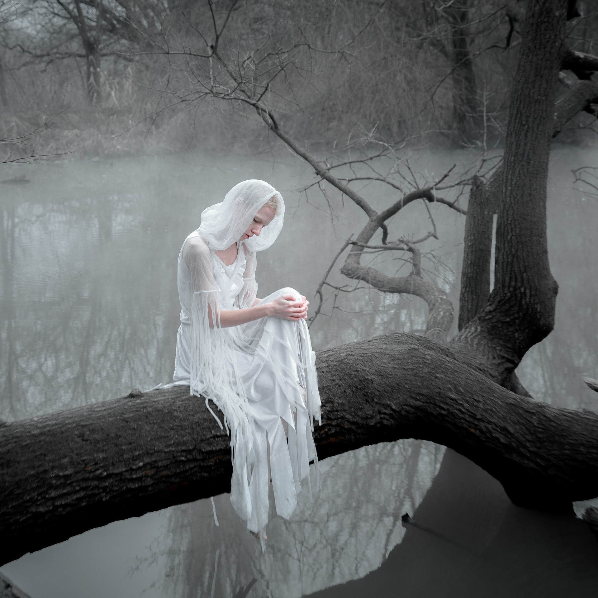 Examples. Photographer Andrew Vasiliev