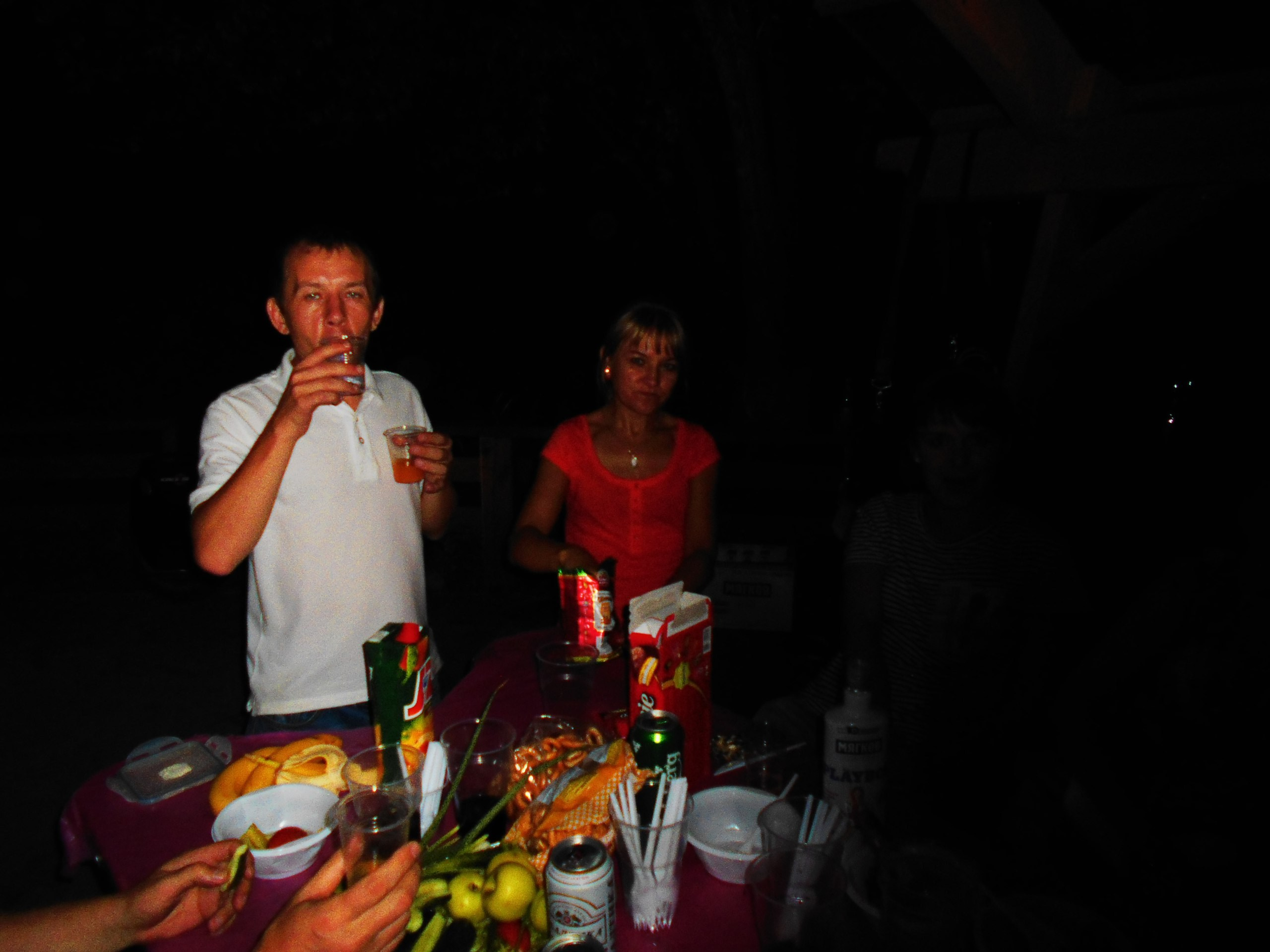 Шашлыки | 27.08.2016. Галерея Фантим