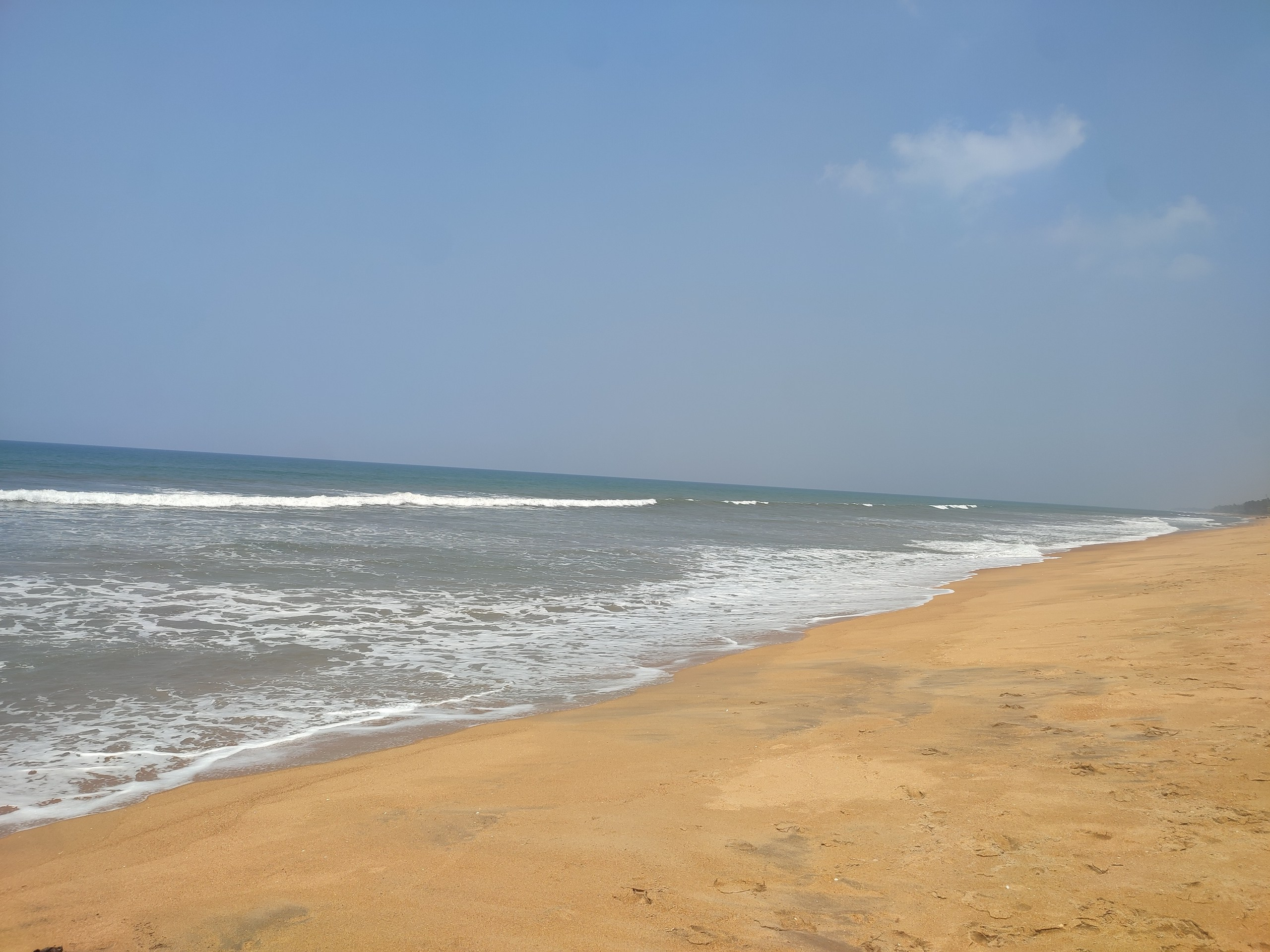 Шри-Ланка | 31.01 — 10.02.2025. Галерея Фантим