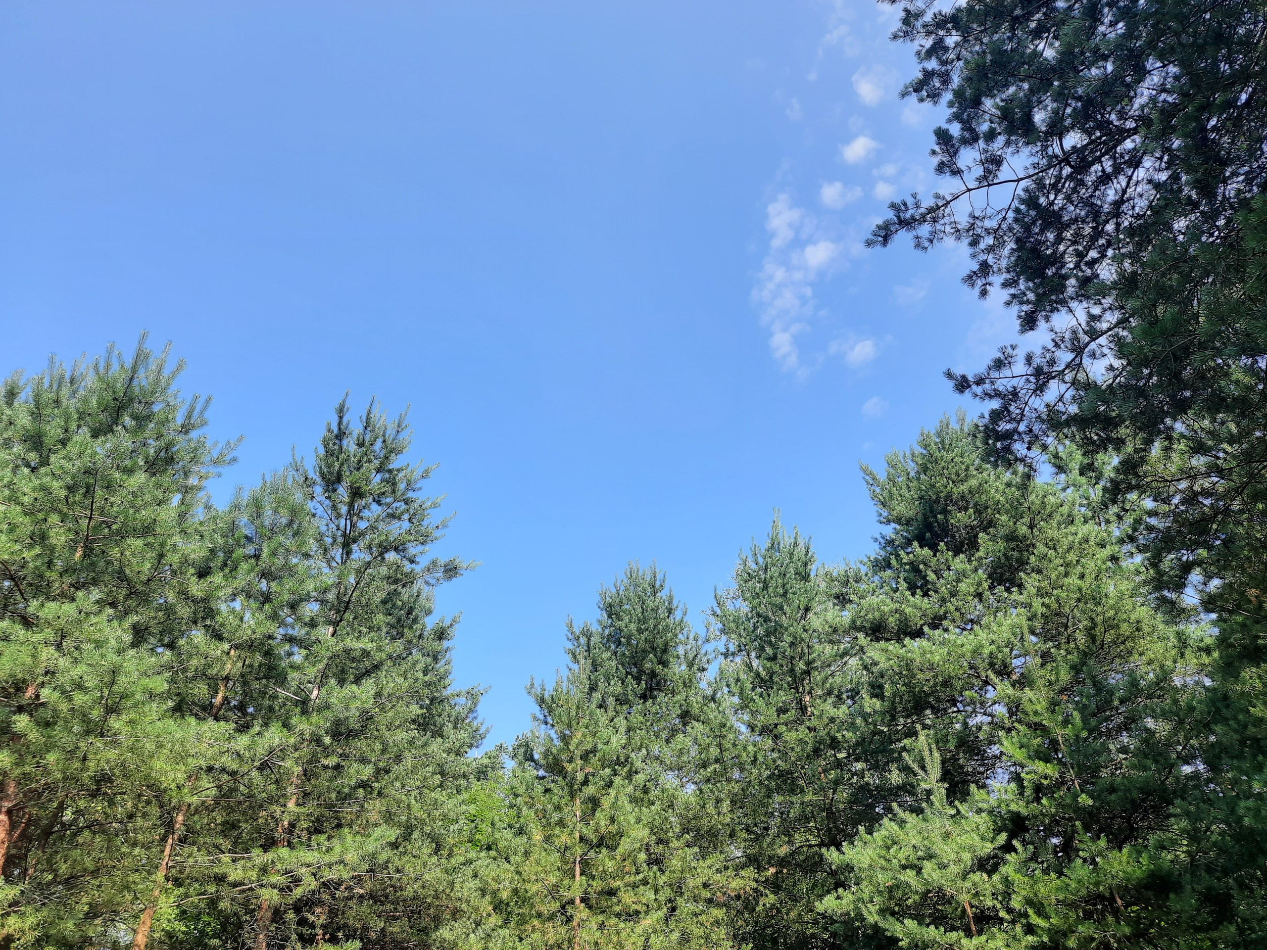 Походная Романтика 35. «Крепкие орешки» | 2021. Галерея Фантим