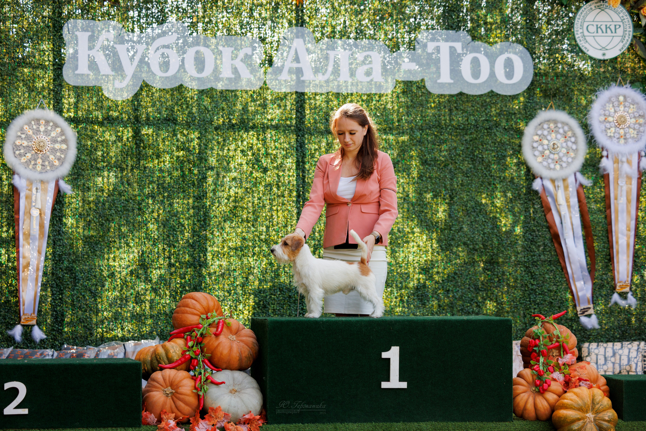 Бишкек 3х CACIB 26-28.09.2025. Фотограф-анималист Юлия Германика