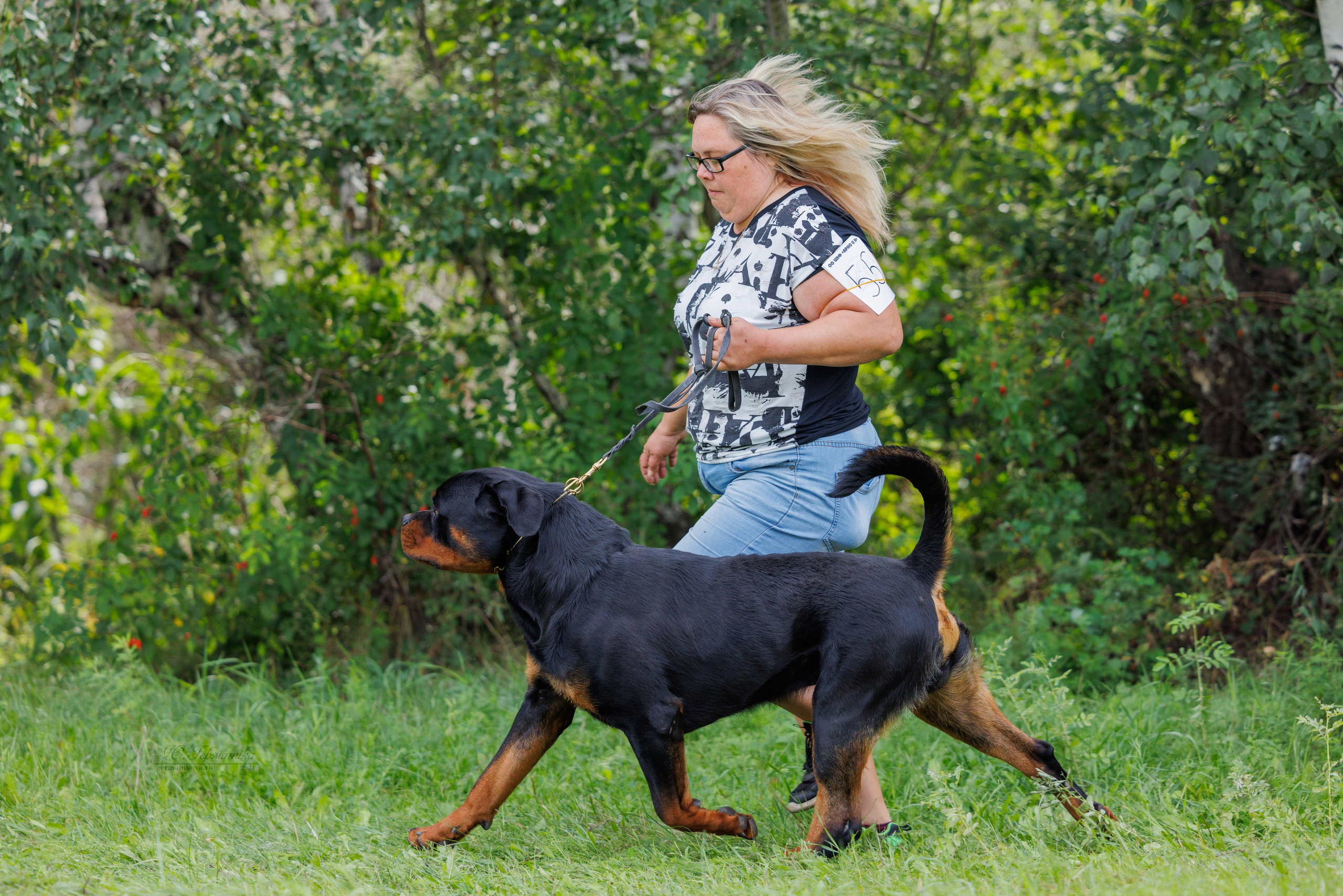 Астана 2хCACIB 17-18.08.2024. Фотограф-анималист Юлия Германика