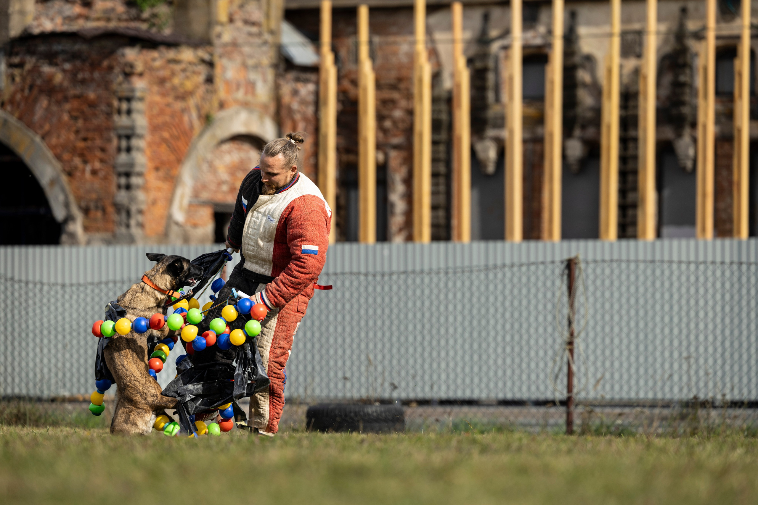 Испытания по Мондьорингу г. Пушкин. Фотограф-анималист Анна Маринич