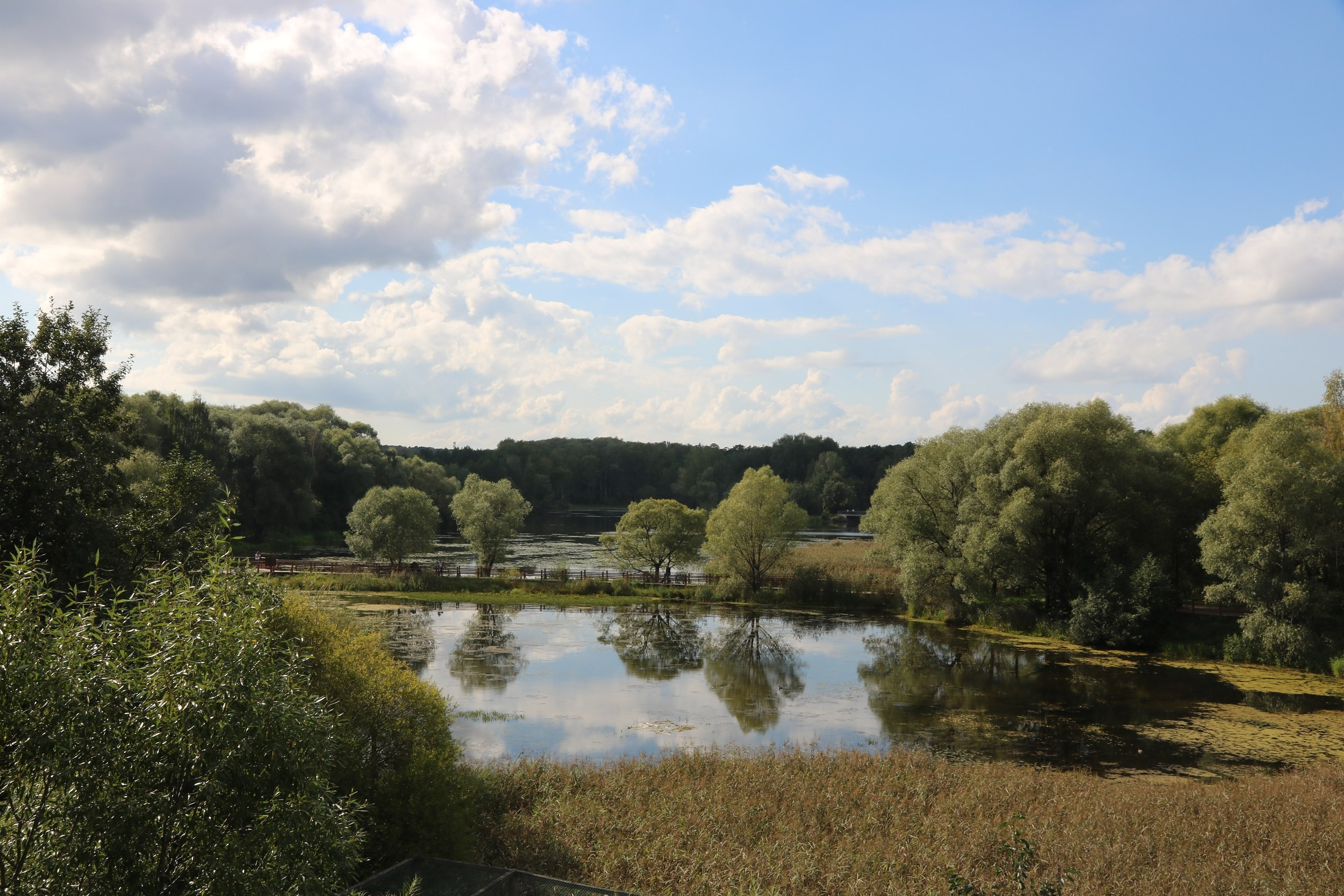 Шашлыки «День в Хогвардсе» | 03.09.2016. Галерея Фантим