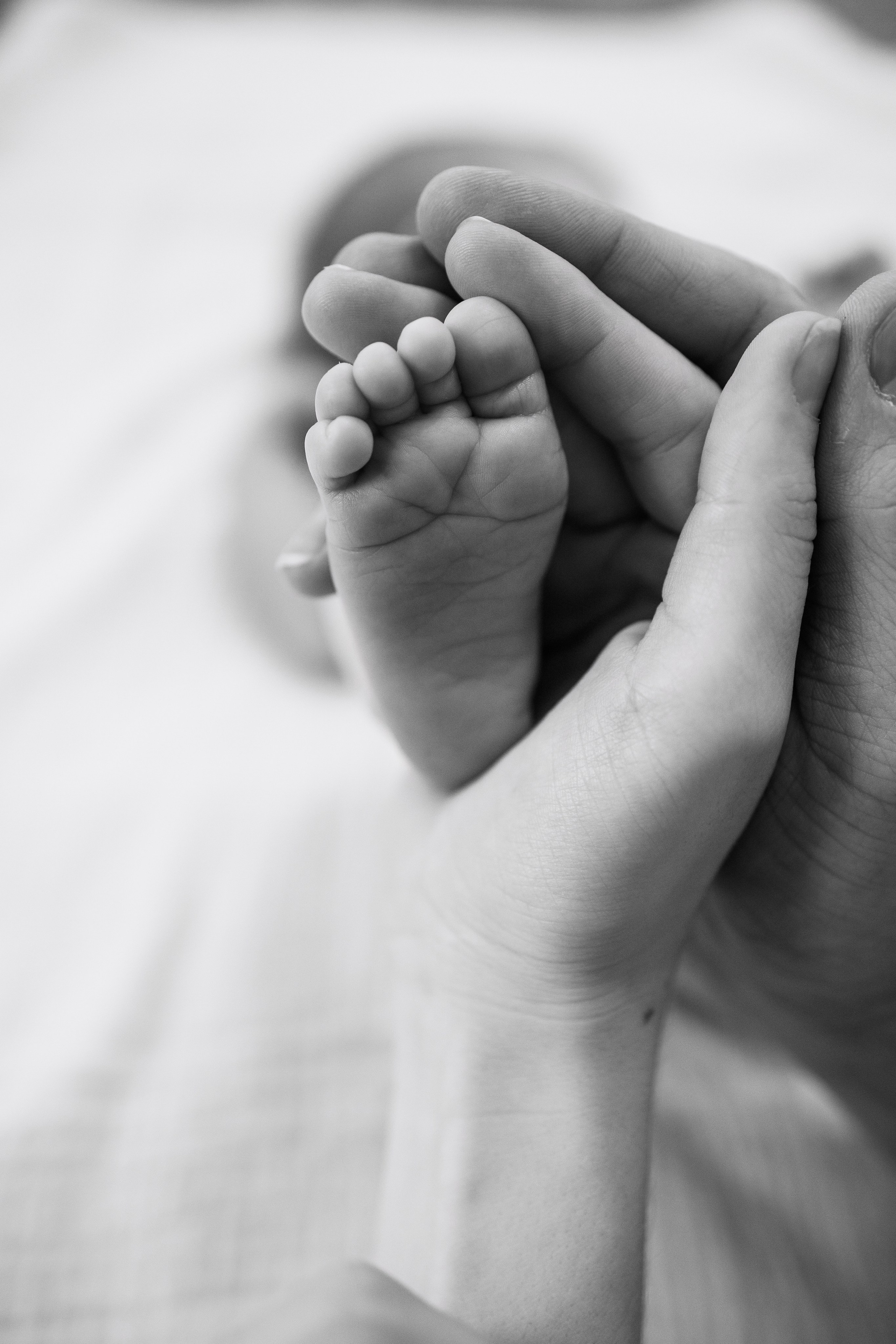 СЕМЬИ. Свадебный фотограф Санкт-Петербург Катерина Ширяева