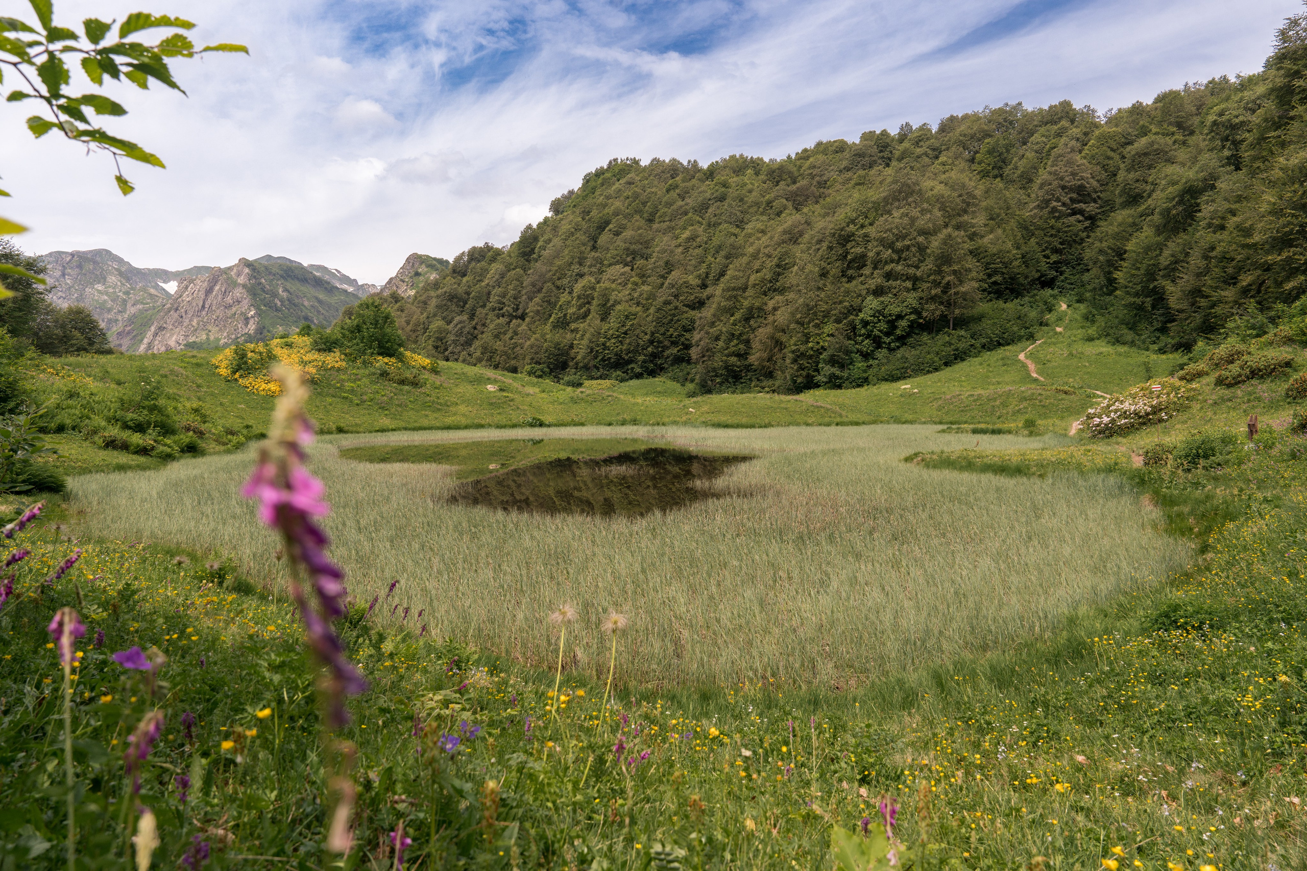 Путешествия и пейзаж. Репортажный фотограф в Красной Поляне и Сочи Павлюченко Екатерина