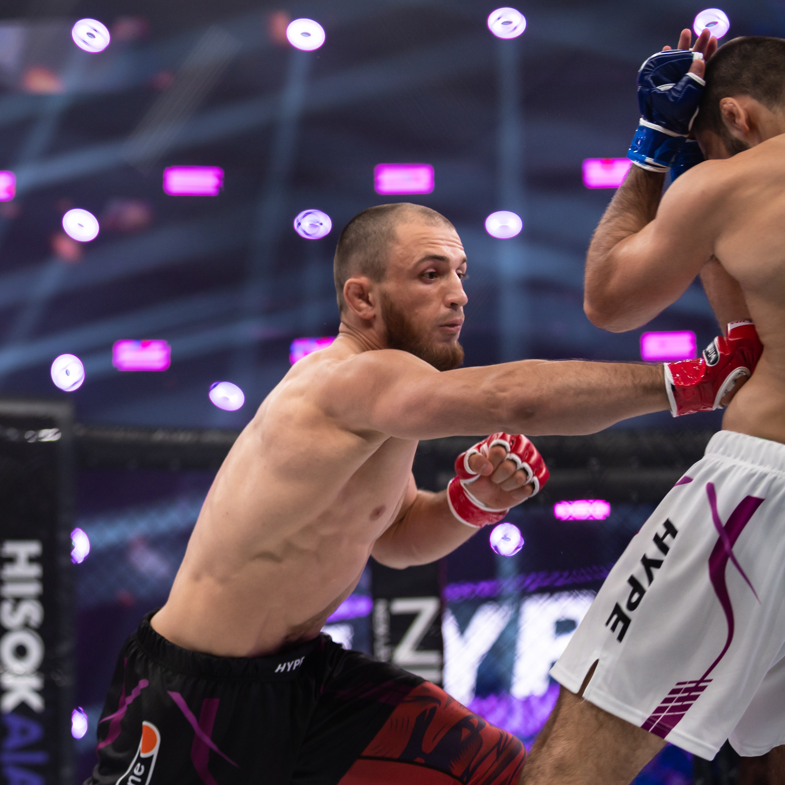 Бои. Репортажный фотограф в Красной Поляне и Сочи Павлюченко Екатерина