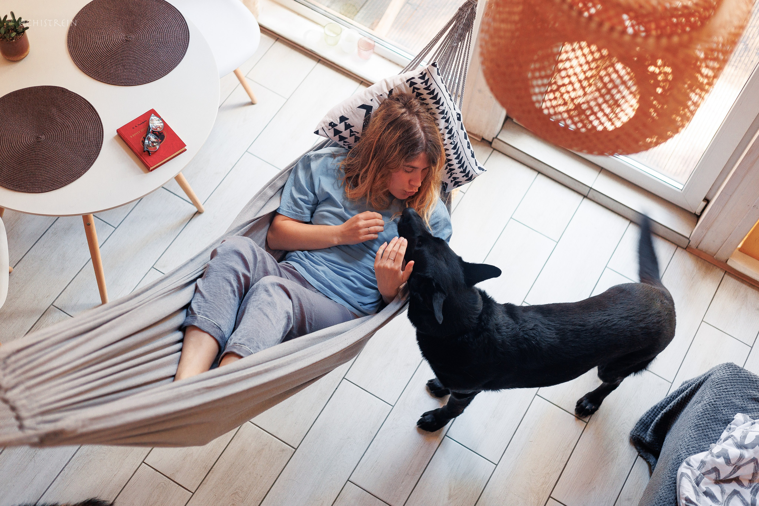 Shanti Home. Фотограф-анималист Наталия Чистюхина в г. Сосновый Бор и ЛО