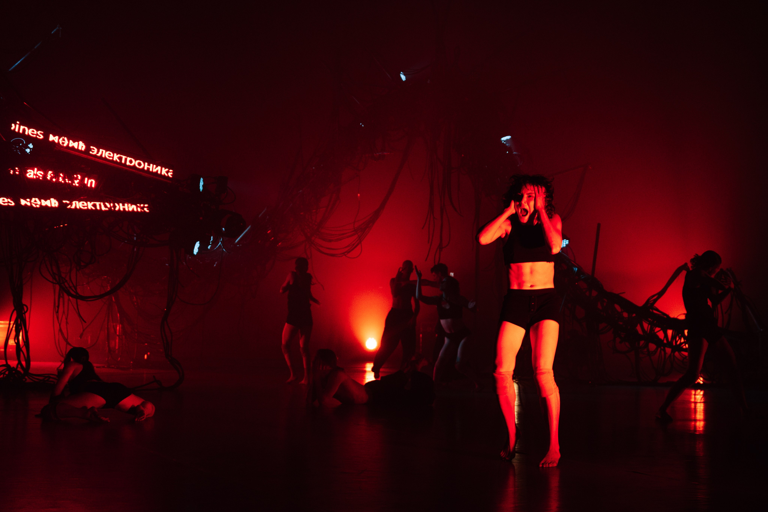 PERFORMA, The Hour of the Horse. @tomrus: Рустам Шагиморданов — фотограф