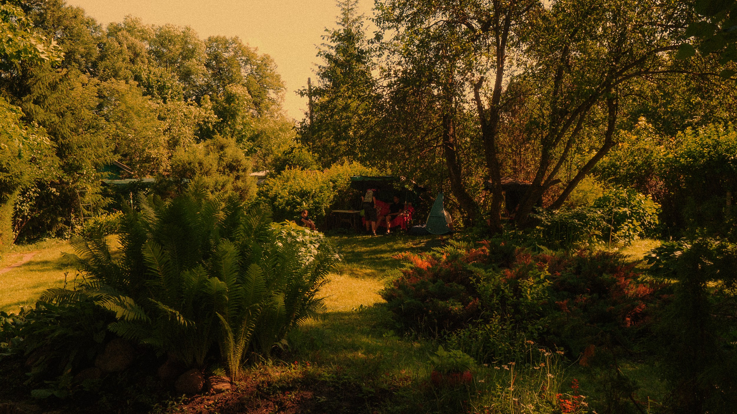 Дача '24. Фёдор Малюгин. Ваш бади в визуале