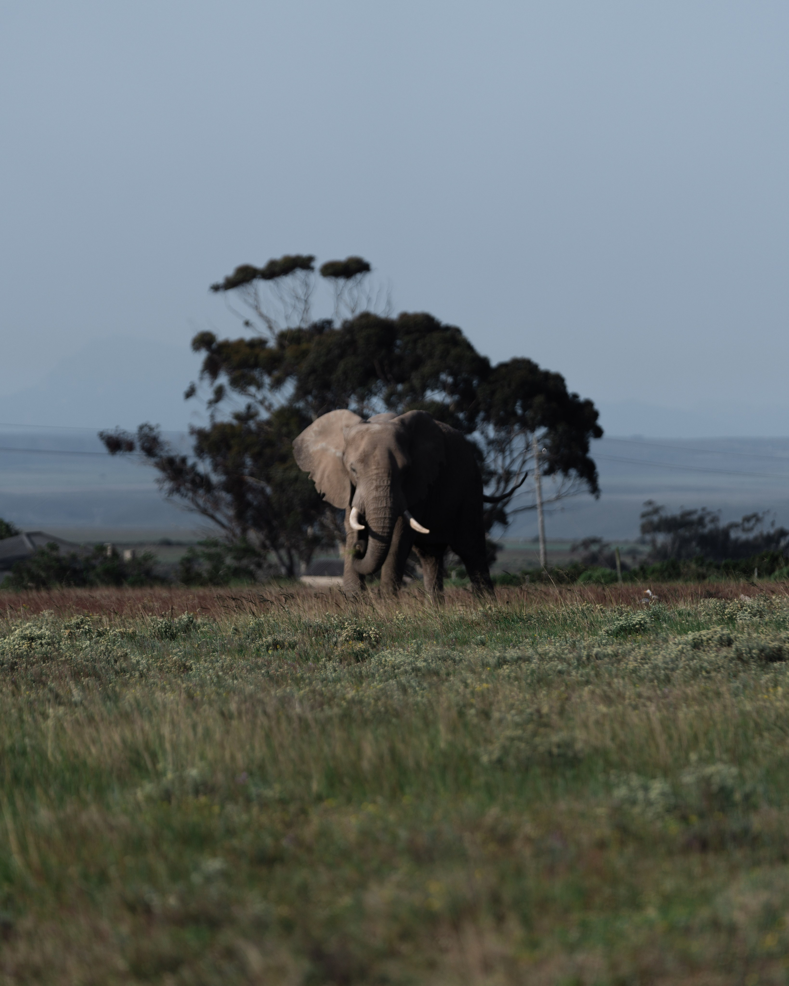 @oljiofilm: Олег Иванов — фотограф