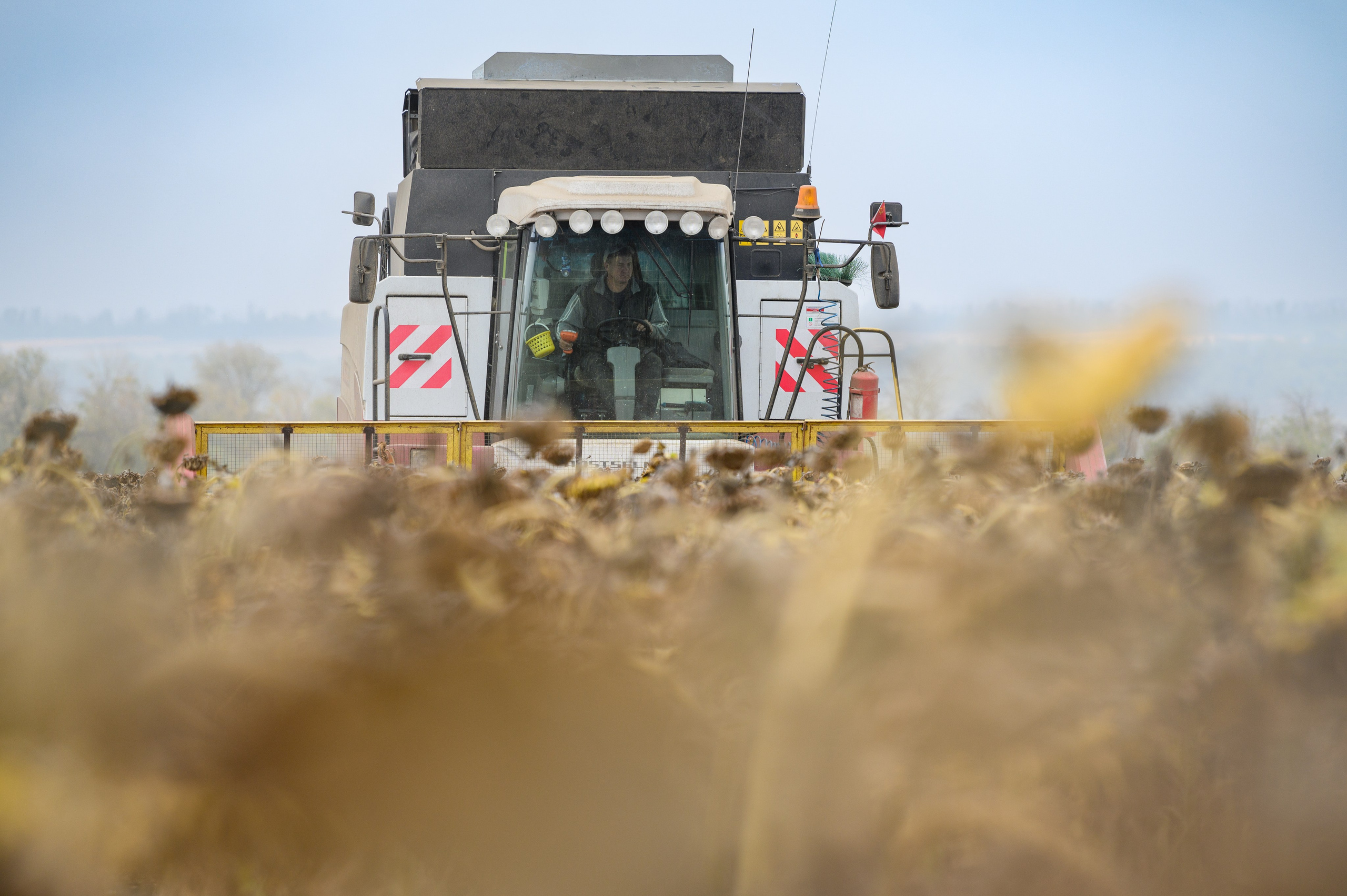 Проекты. Профессиональный фотограф Вячеслав Плацында | Липецк |