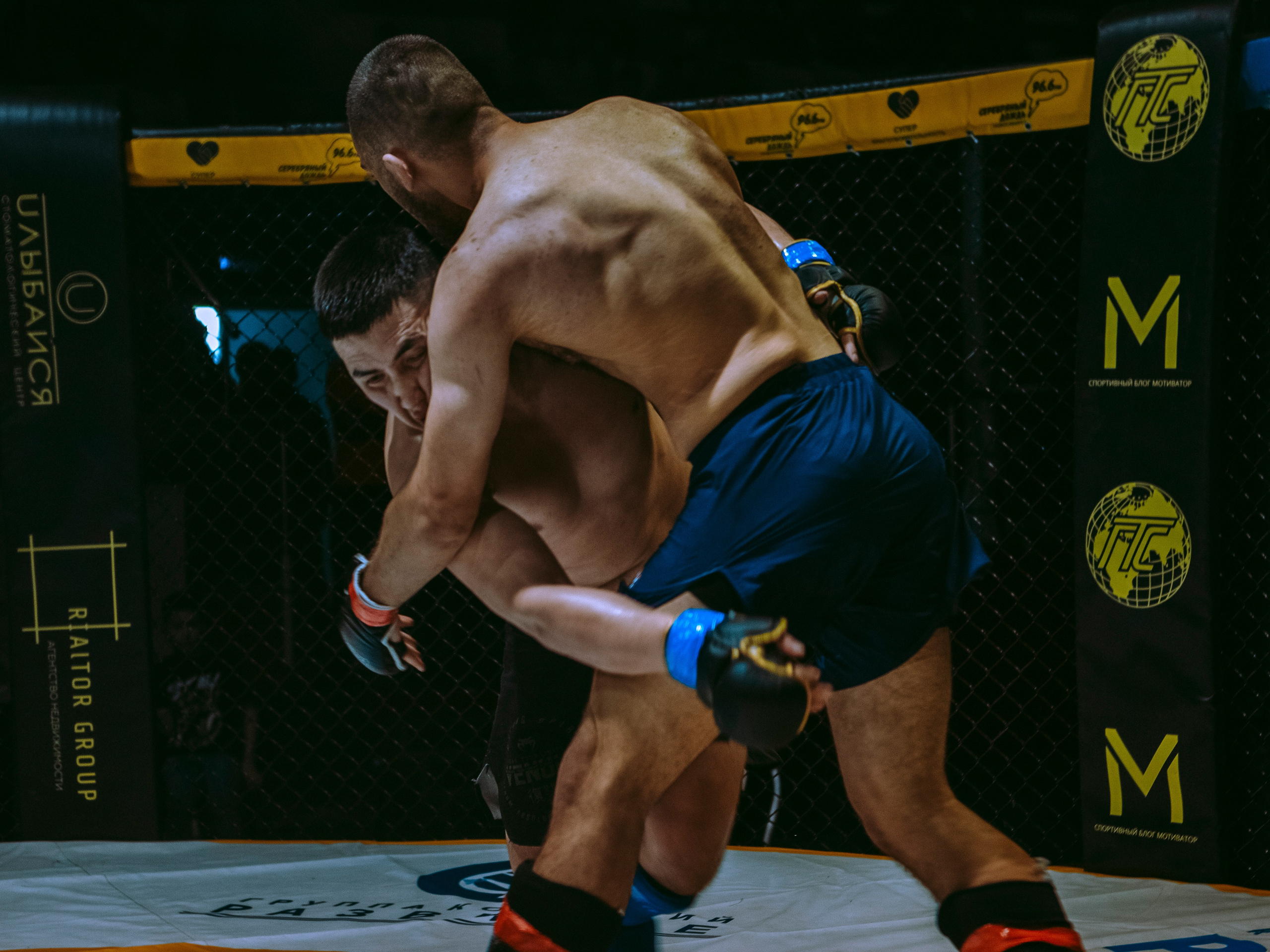 SFL 17 | Siberian Fighting League. Портретный фотограф в Москве Дарья Цезария