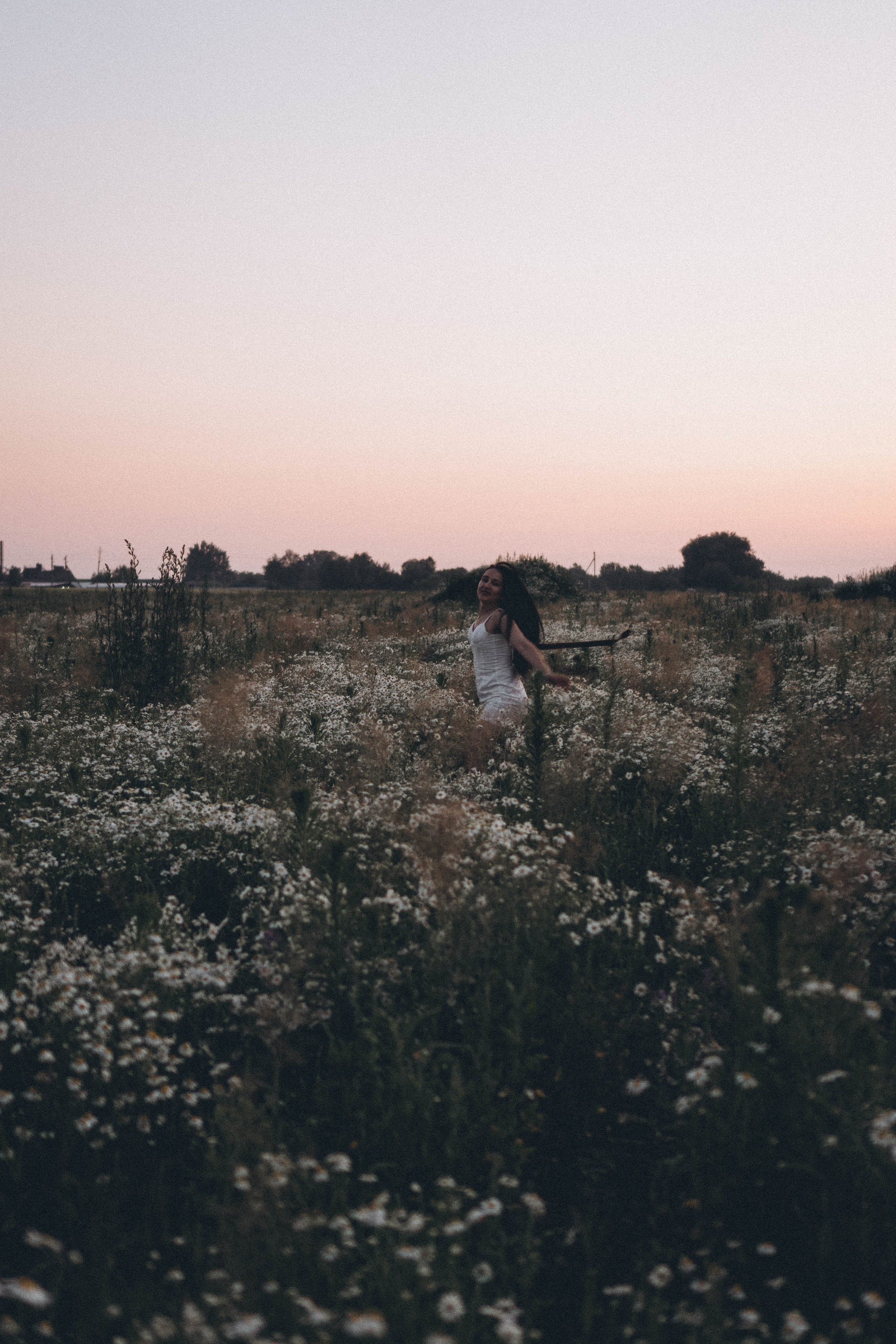 Ромашковое поле. Профессиональный фотограф, Санкт-Петербург — Виктория Богомолова