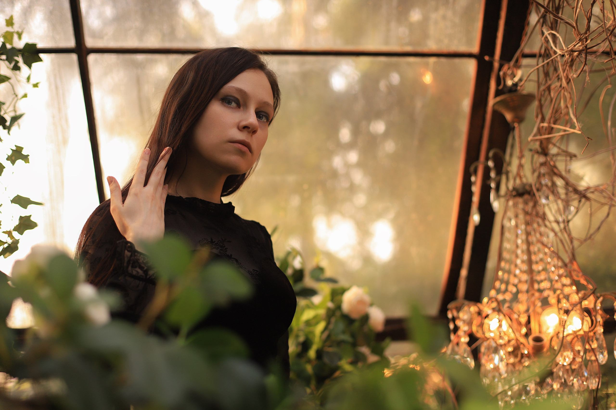 Оранжерея. Фотограф в Москве Елена Дроботя