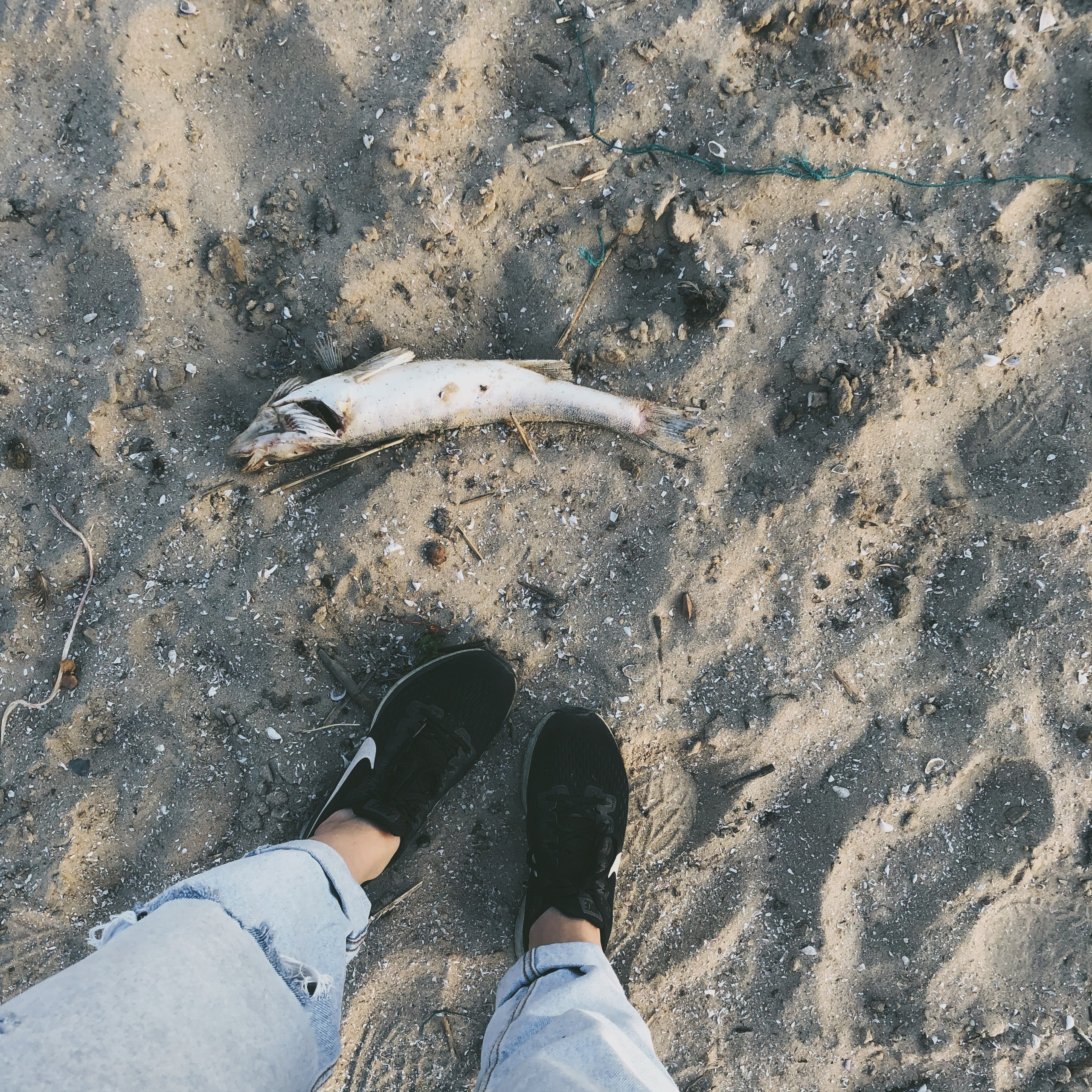 Визуальный дневник. Портретный фотограф в Москве Гахраманова Екатерина