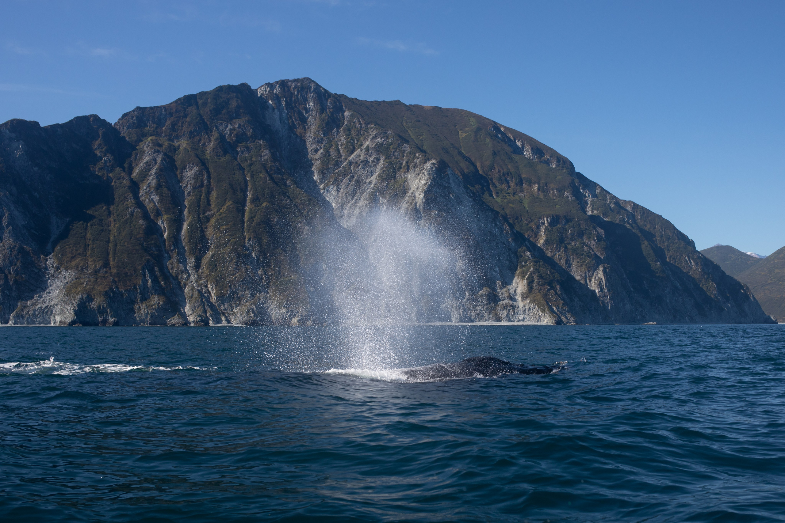Kamchatka. Yulia Tsyganova